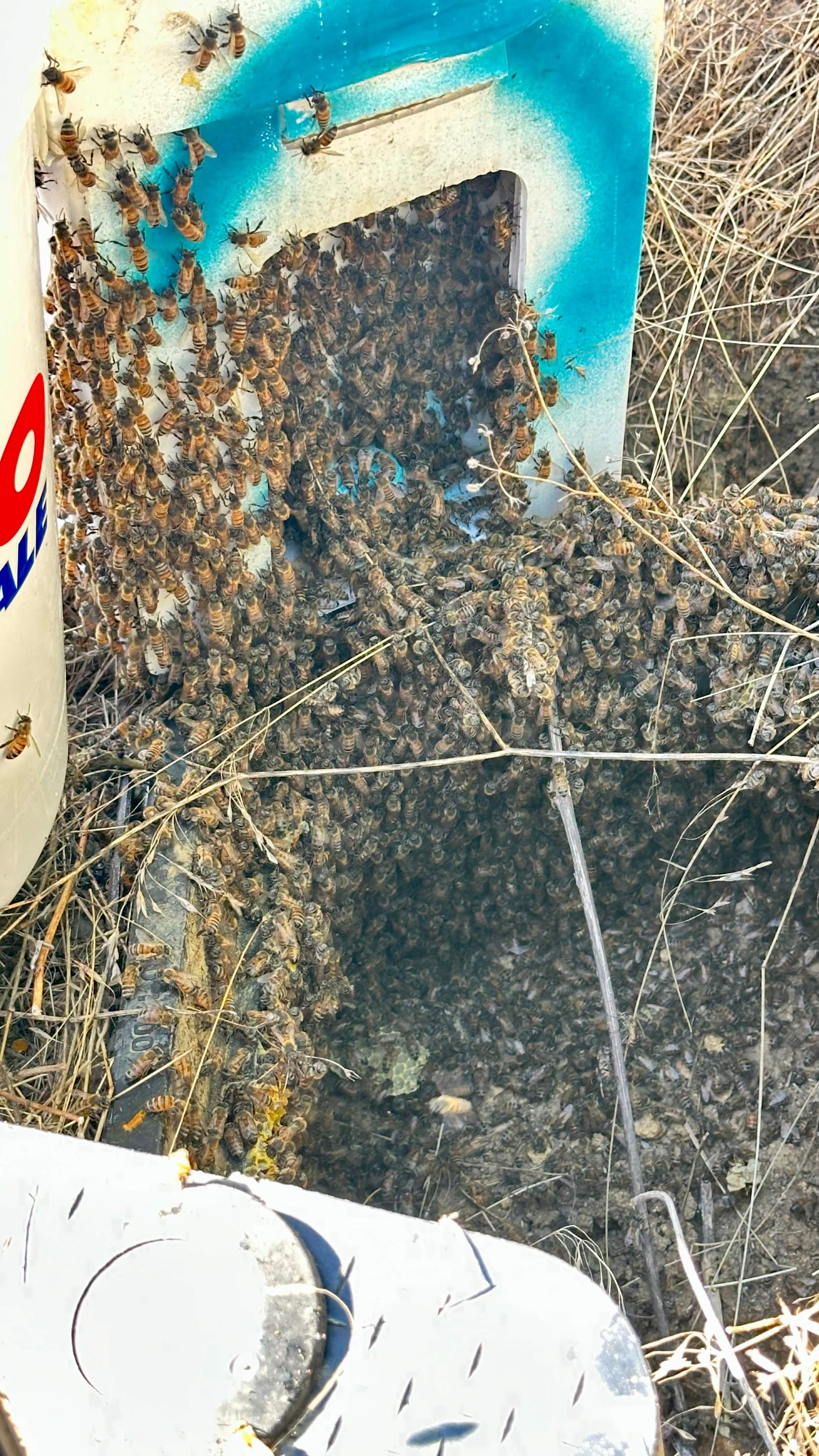 Well Meter by Rockwall Honey Bee Company