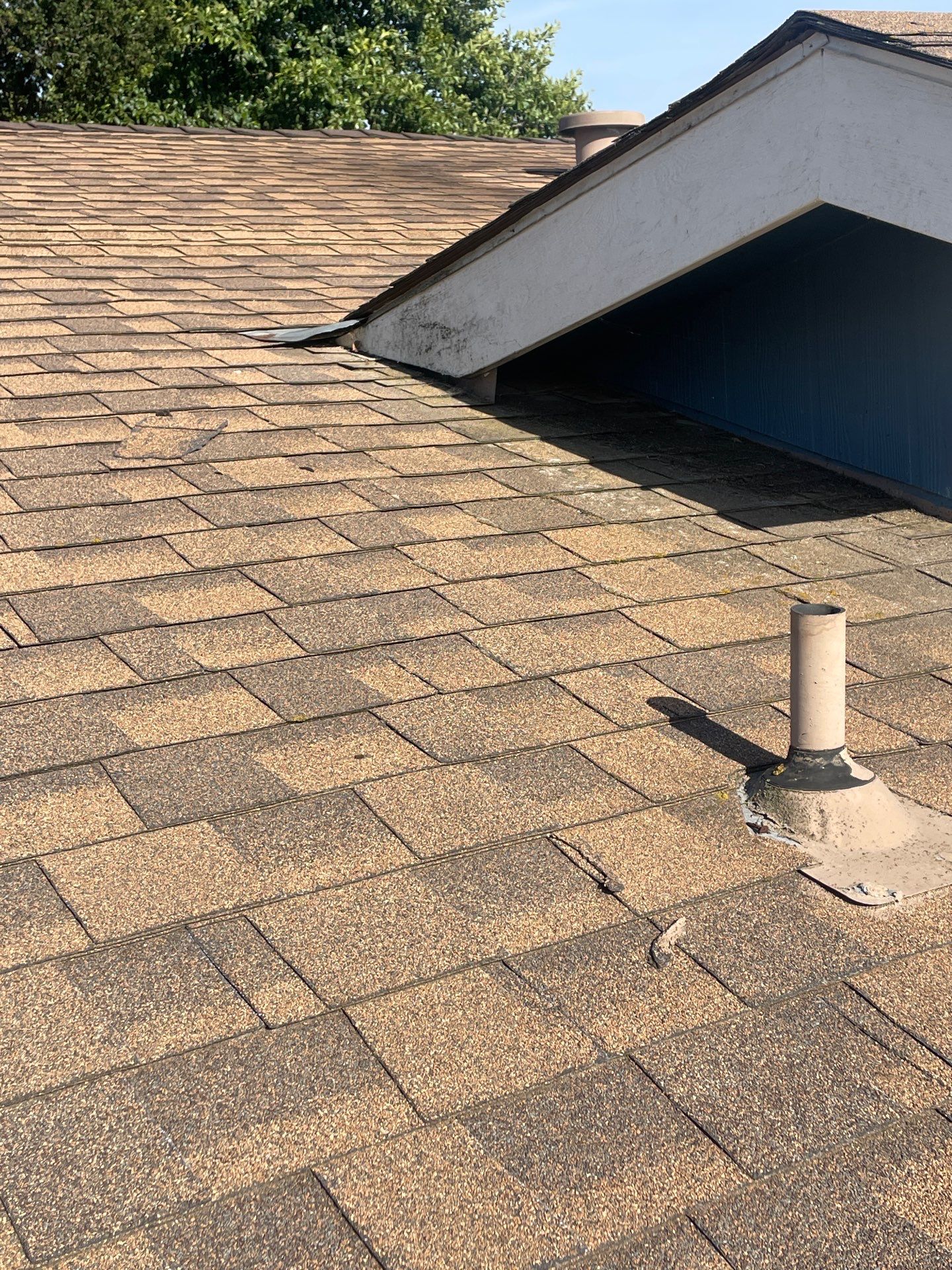 Roof Rejuvenation using Roof Maxx Treatment by Roof Maxx of Folsom
