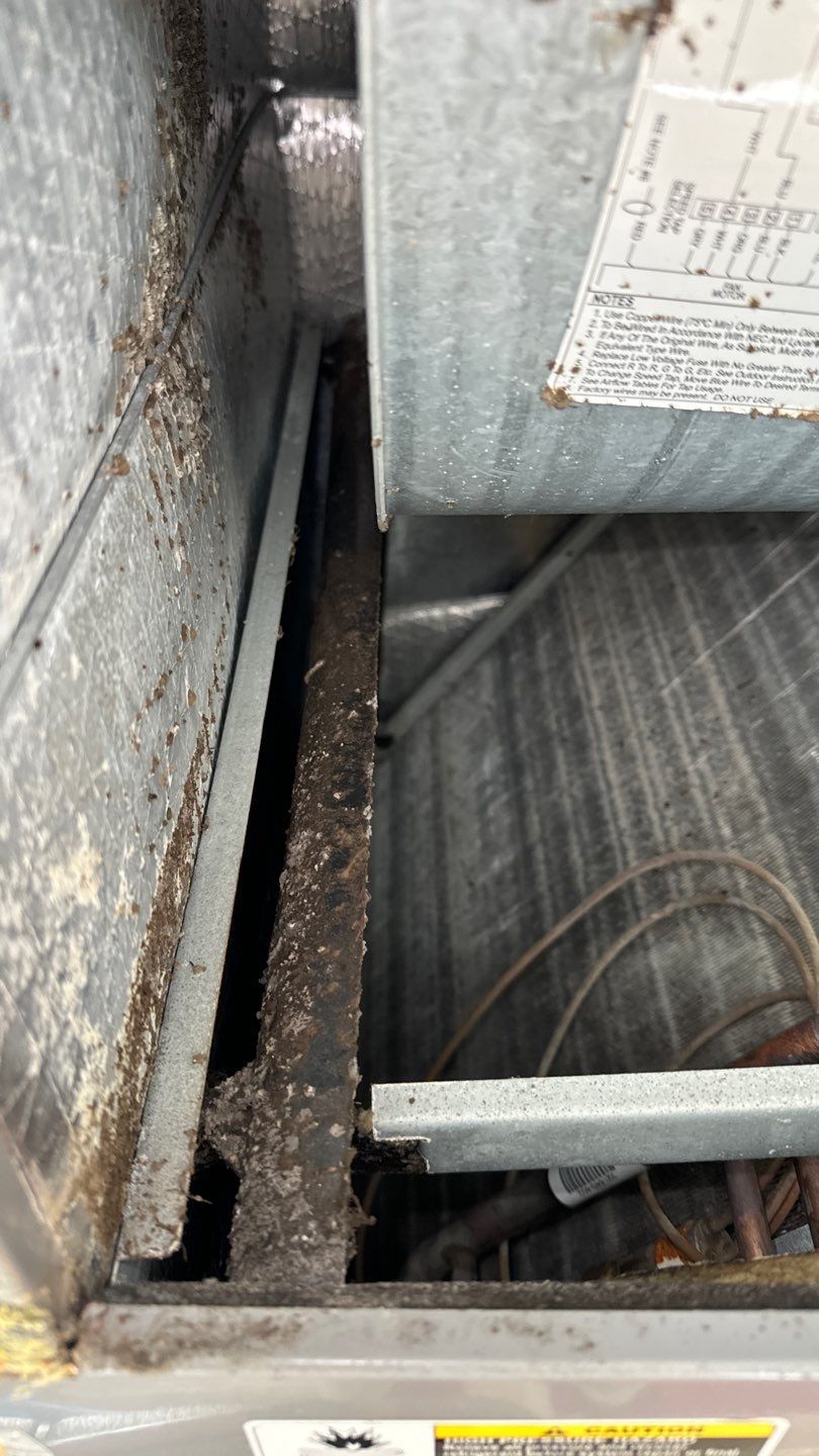 Air Duct Cleaning in Orlando by Hygienic Air, Inc
