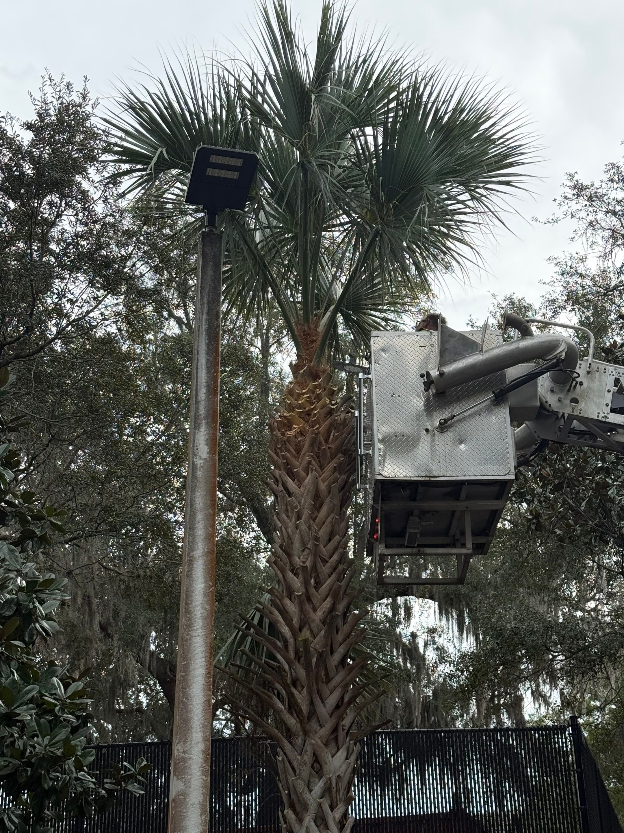 Volunteer Work | Episcopal High School of Jacksonville by ProGreen Services