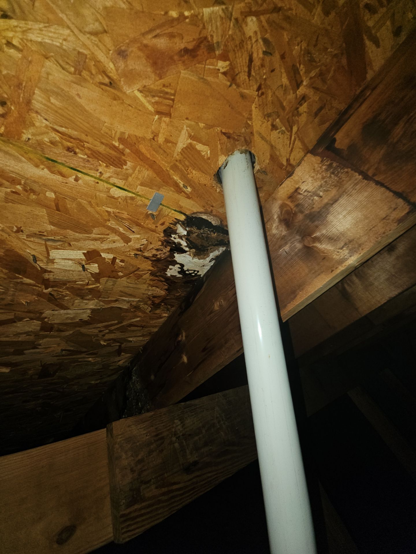 Roof Repair Pearland by Roof Repair Services LLC