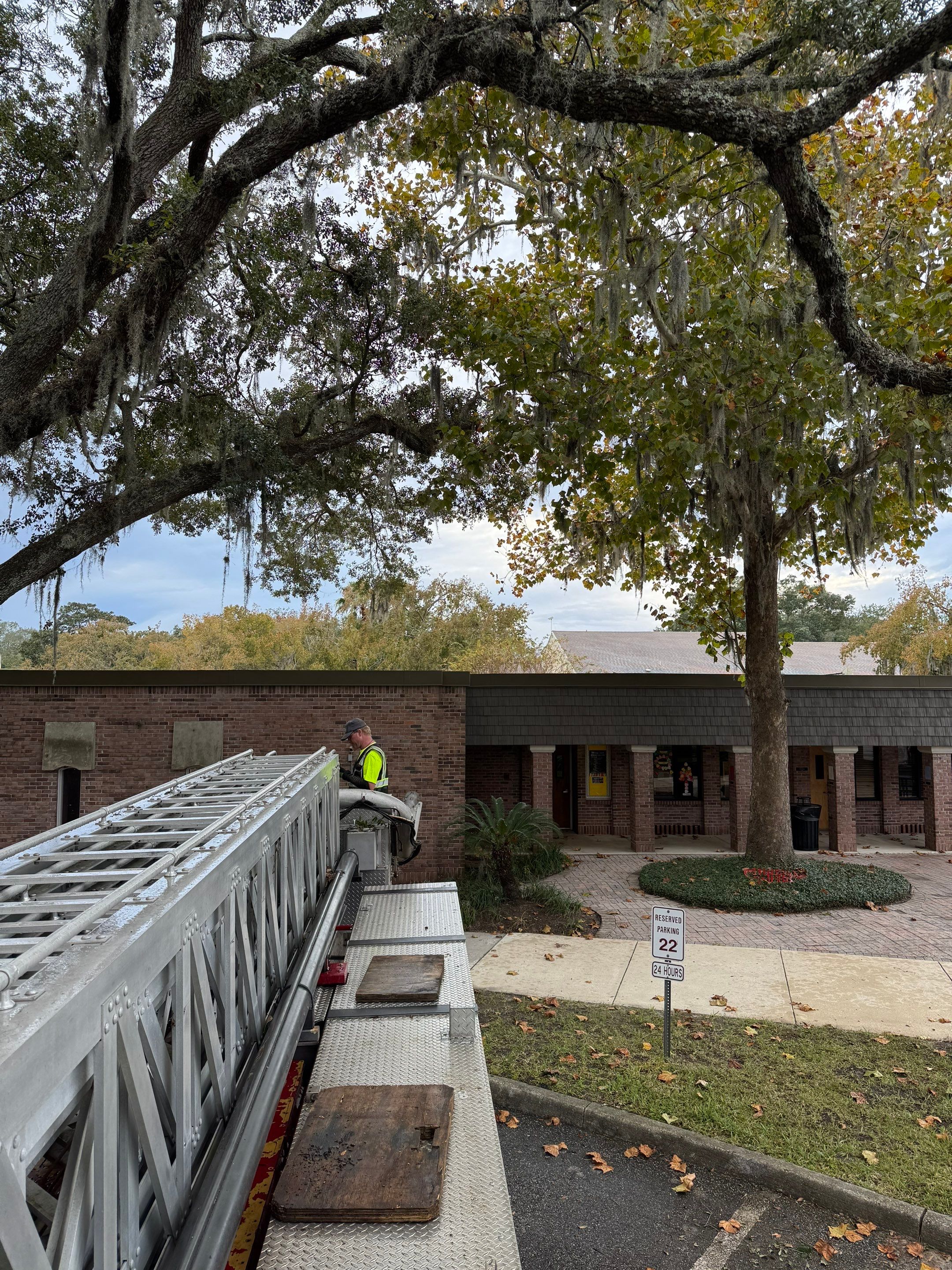 Volunteer Work | Episcopal High School of Jacksonville by ProGreen Services