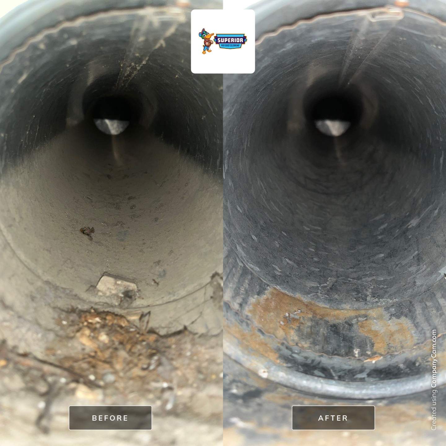 Air Duct Cleaning With a Vacuum Truck in Winona, OH by Superior Air Duct Cleaning