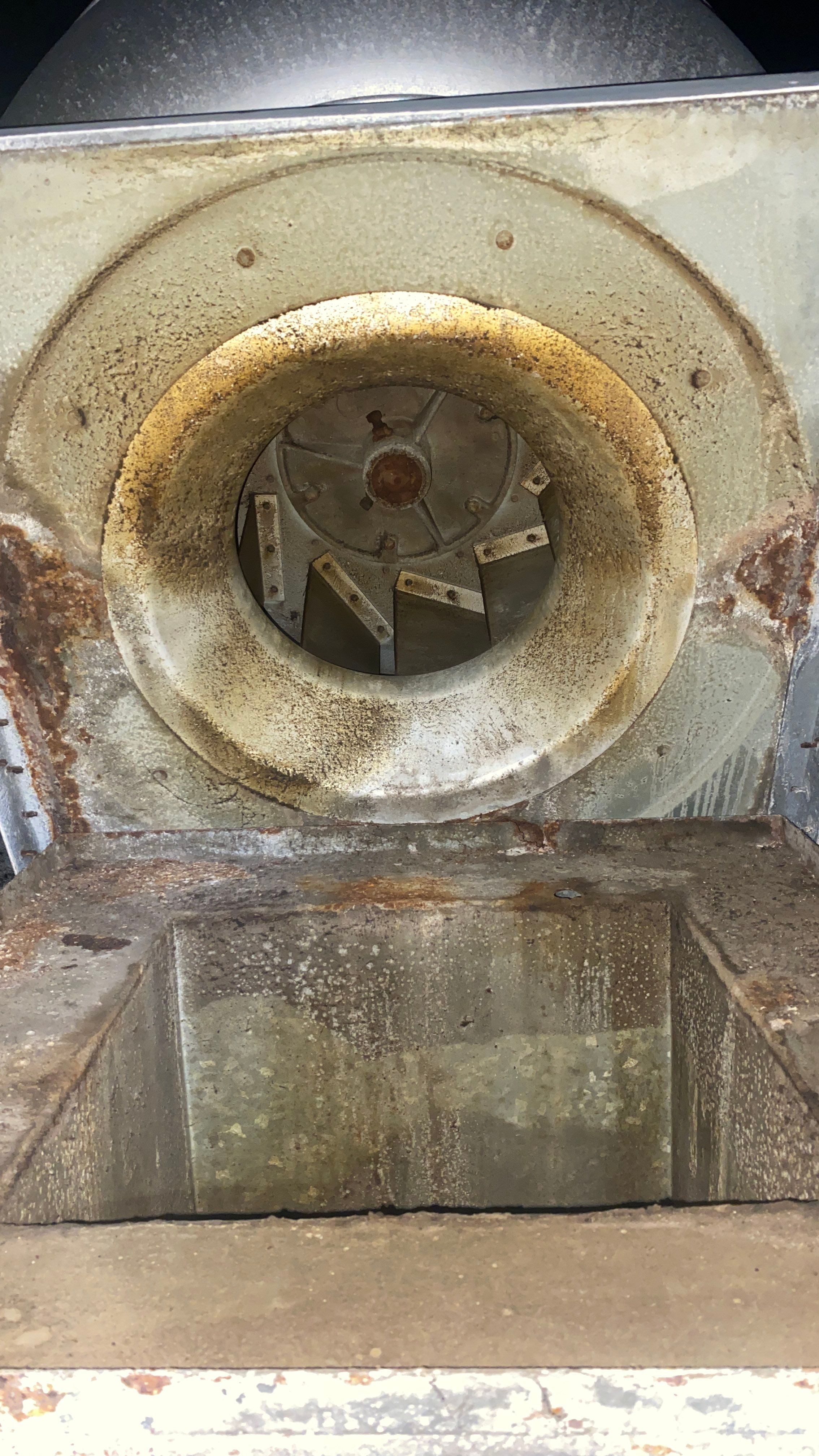 wrfererg by Crenshaw Hoods