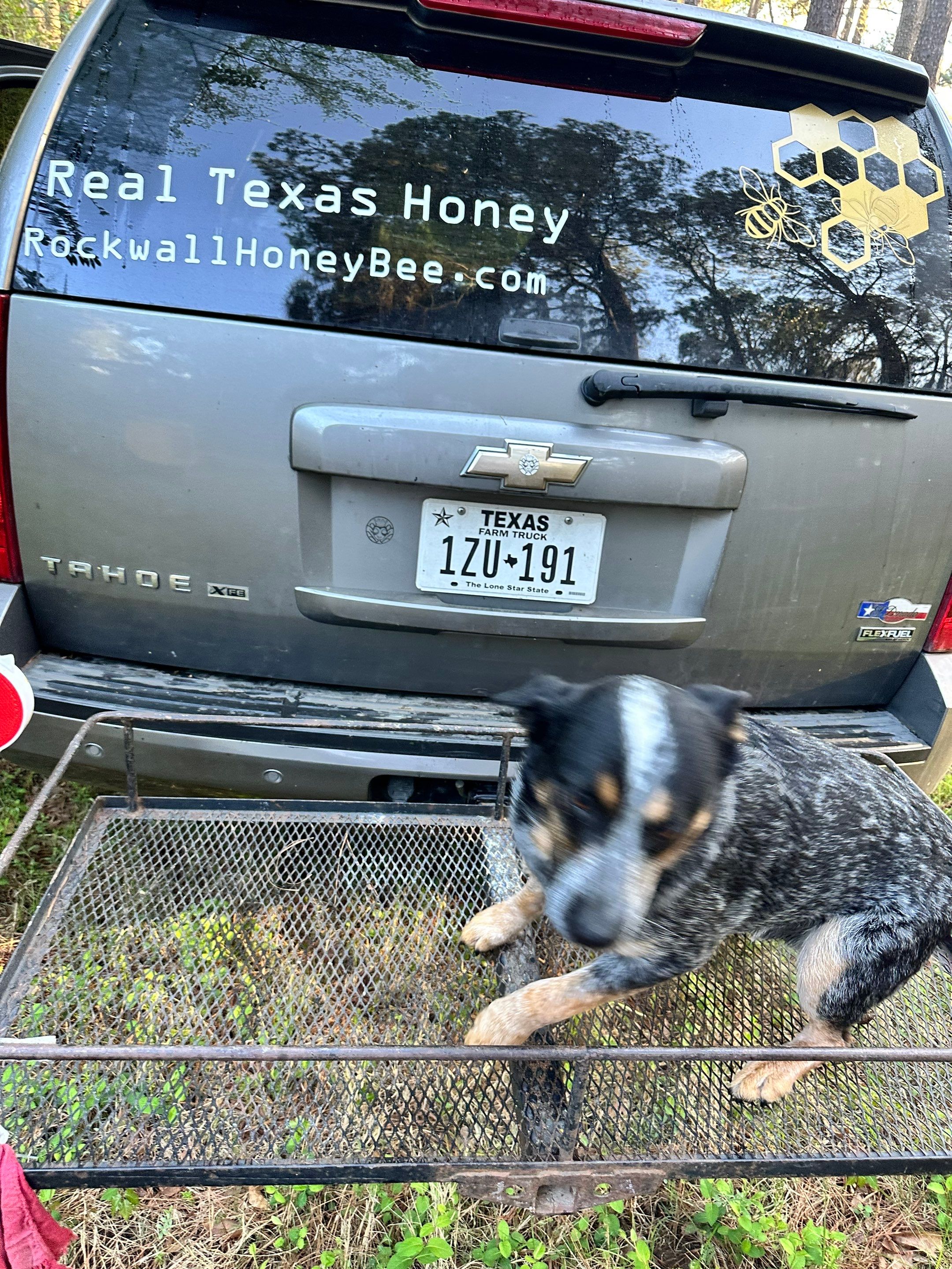 Tree Farm Apiary by Rockwall Honey Bee Company