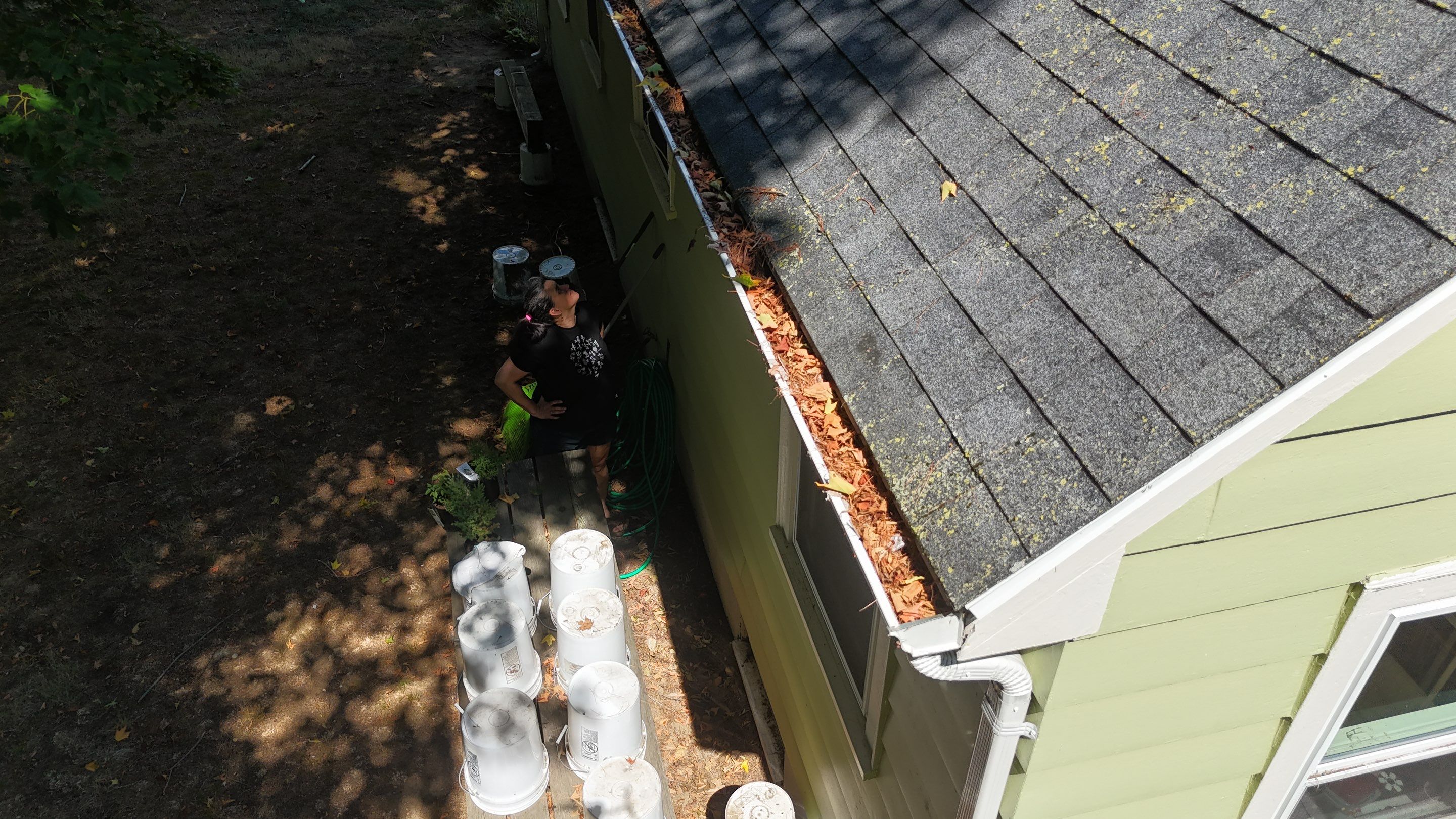 Roof Soft Wash & Gutter Cleaning – Maynard, MA by Mighty Dog Roofing of Greater Middlesex County