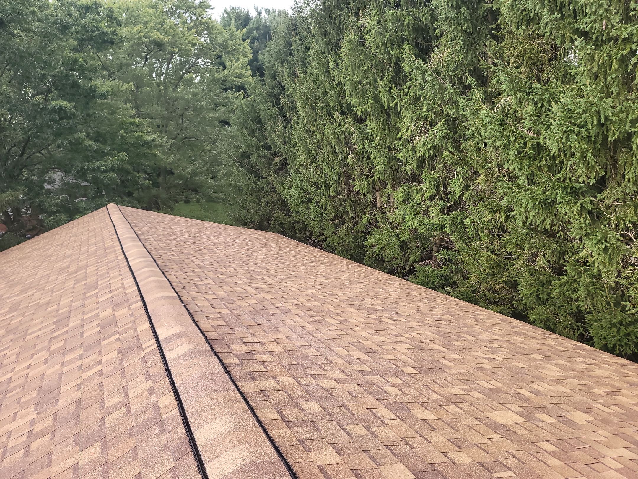 ATLAS PINNACLE COLOR: MORNING HARVEST by Eagle Eye Roofing