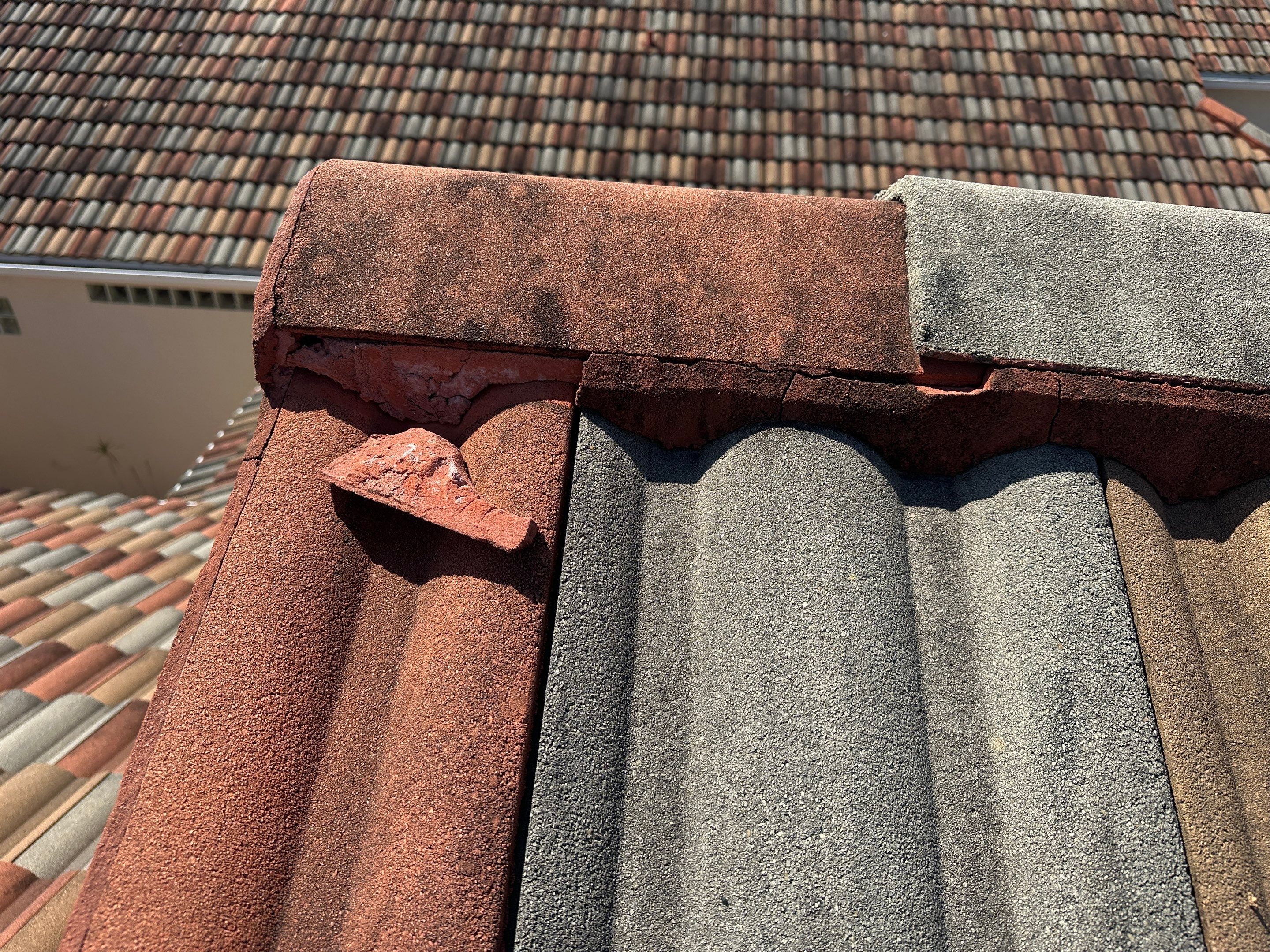 Water Damage Claim in Sarasota by FLAPA & KeyStone