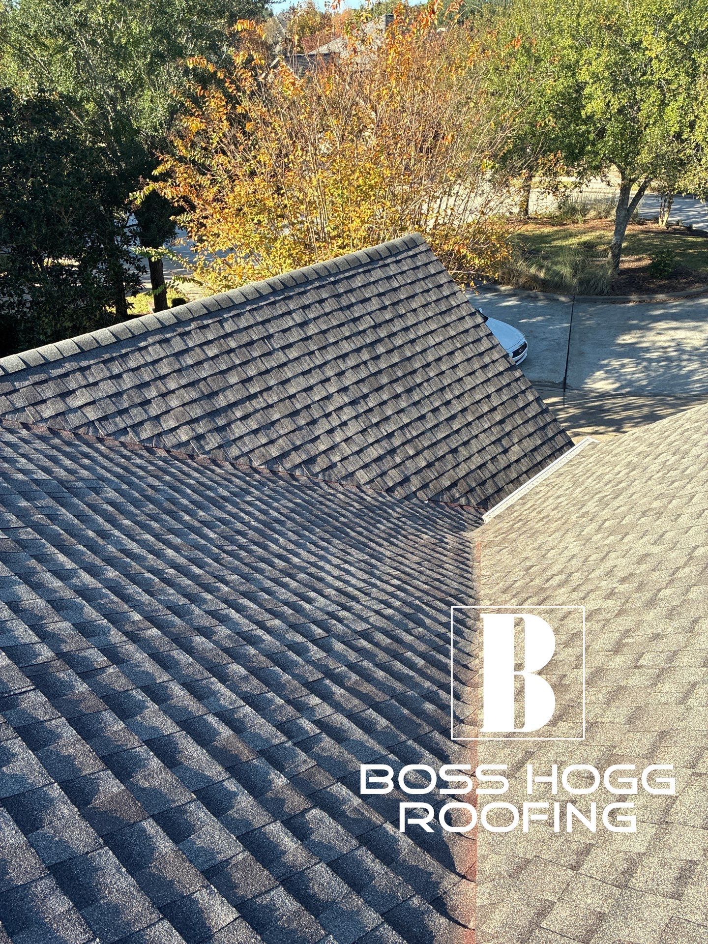 LYNA L by Boss Hogg Roofing