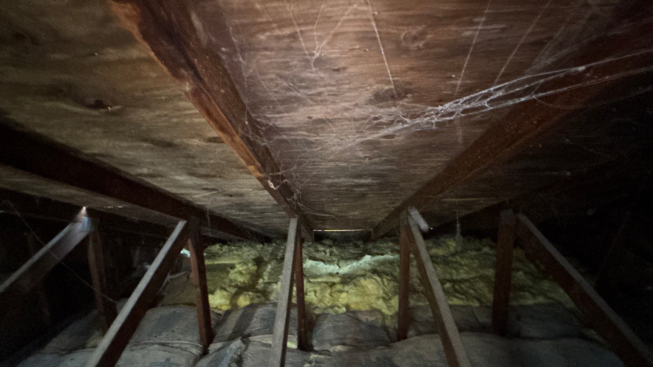 Roof Replacement using Owens Corning Midnight Plum by 180 Contractors