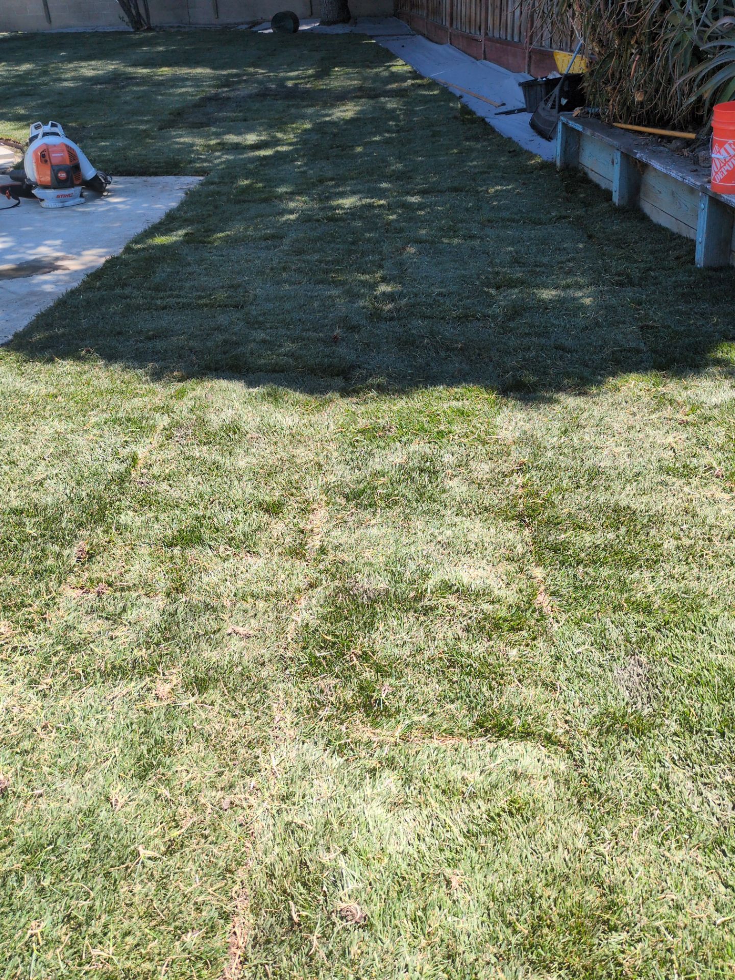 Project in San Jose by A - G Sod Farms