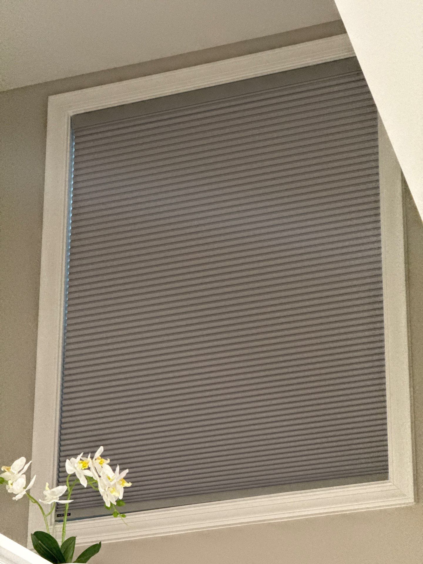 Shutter and Honeycomb Project in Prince Frederick, MD by Southern Maryland Custom Blinds