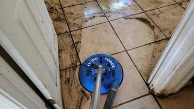 Extreme, Tile Cleaning