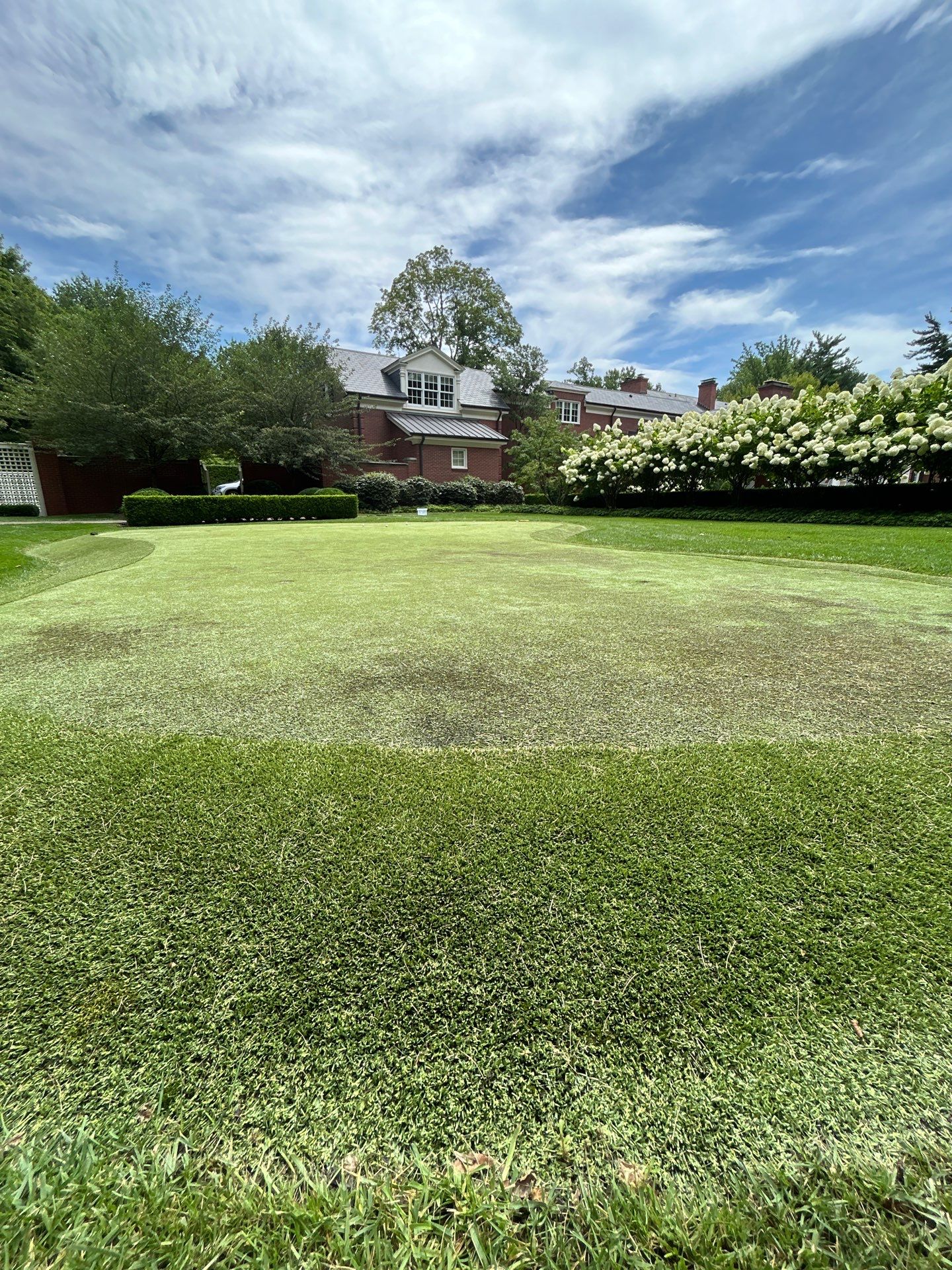 Green Replacement in Indianapolis, IN by Southwest Greens Midwest