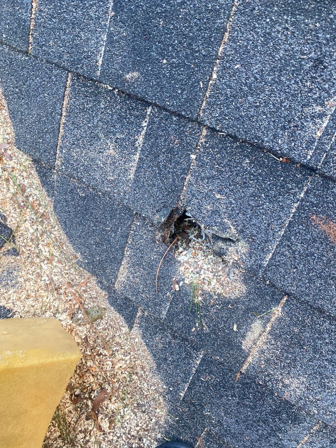 Tarp by Deerfield Roofing LLC