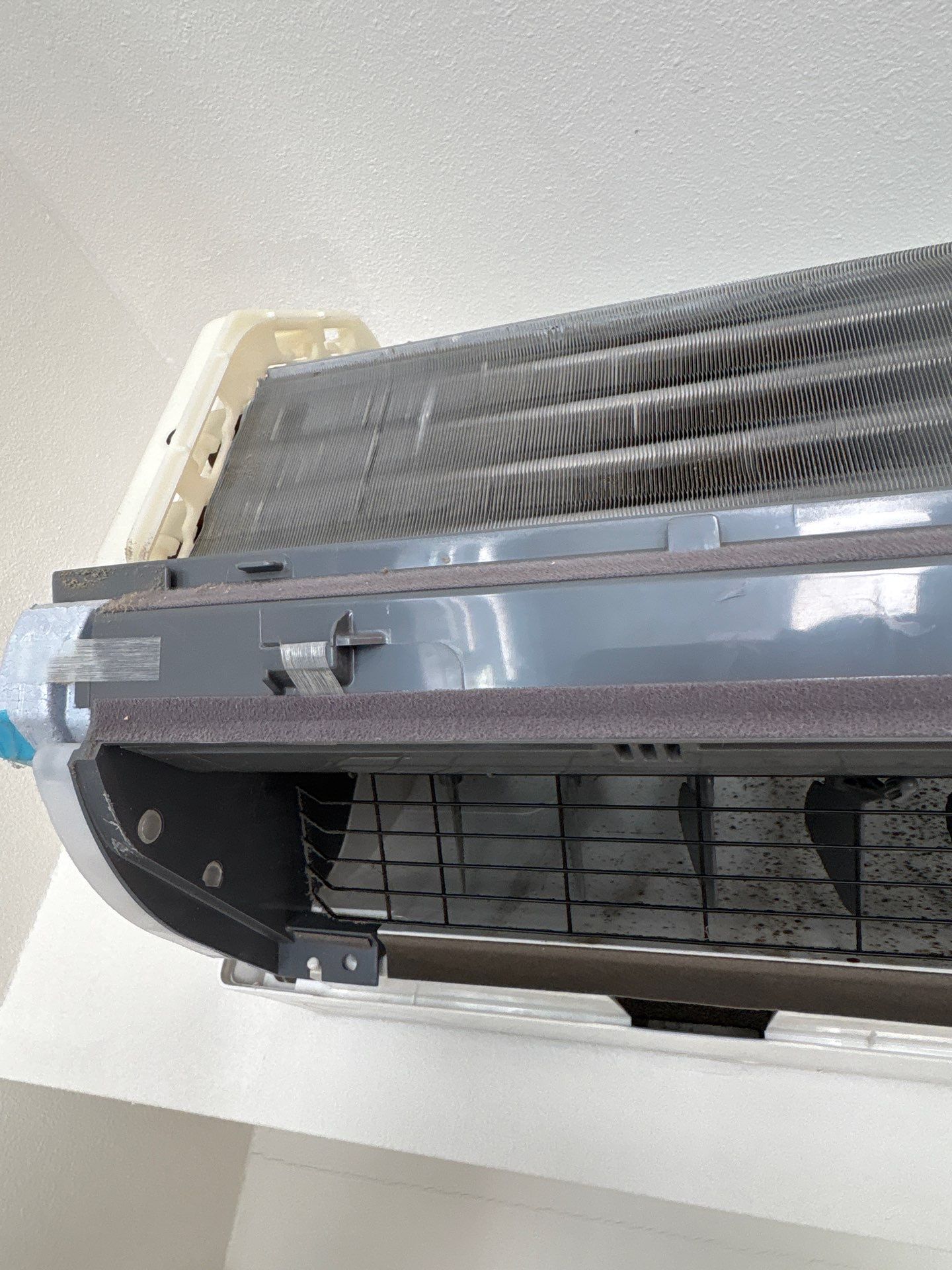 EatWellGuru: Maryam Dadkhah, Ph.D., RDN, CPT featured photo.