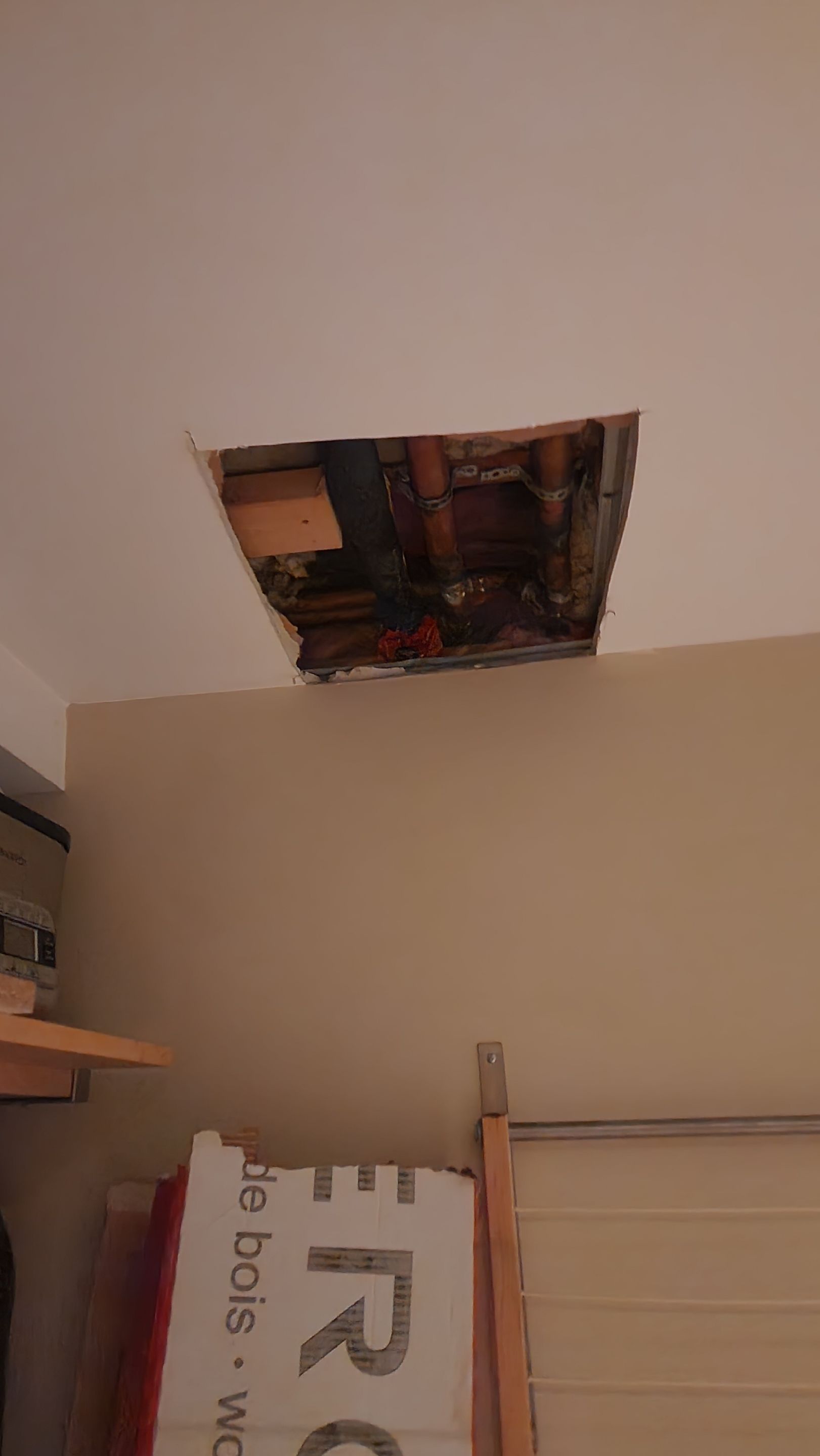Project in Toronto  by GTA HOME PAINTING