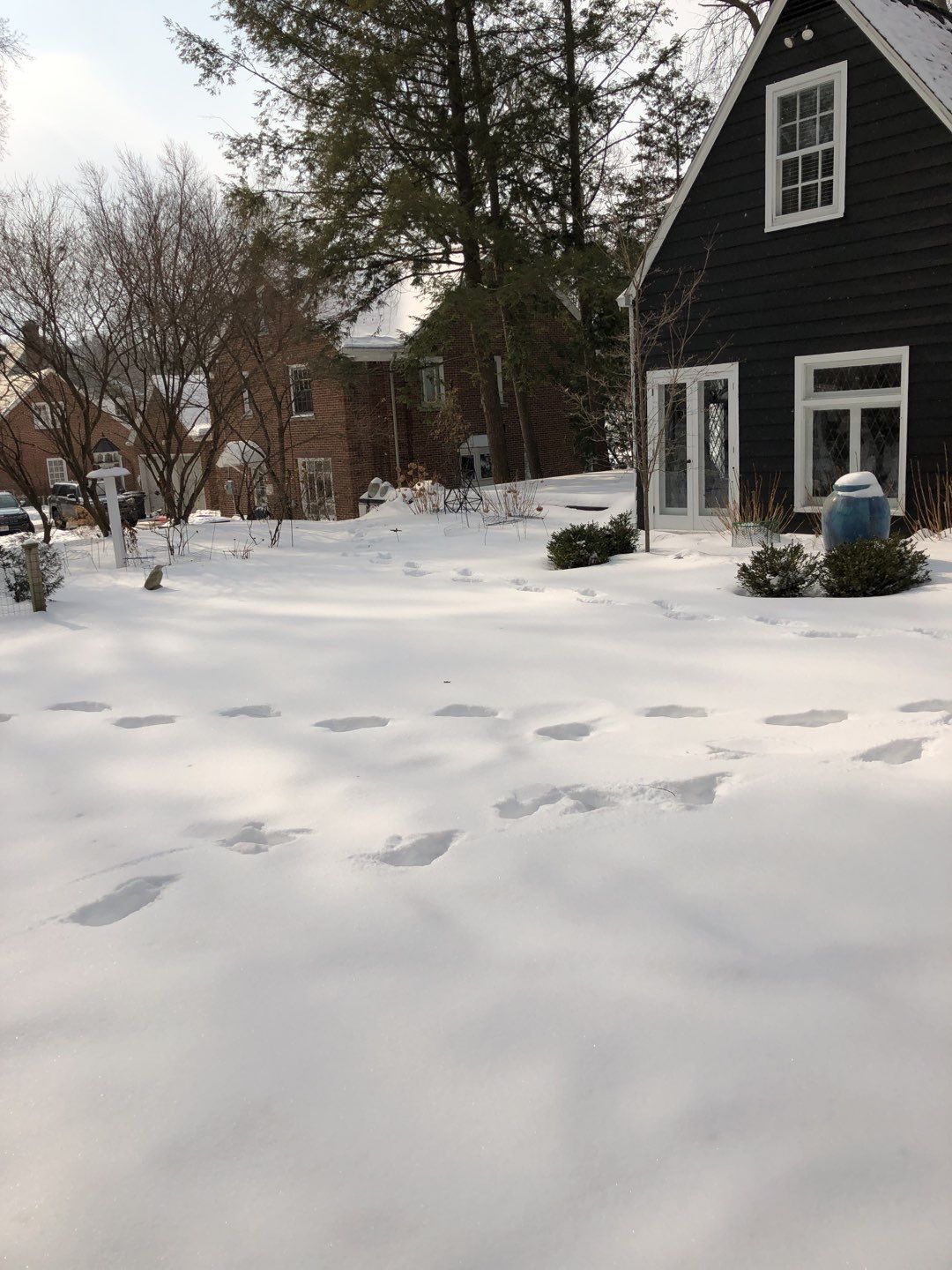 Firewood Delivery  using Seasoned Firewood by Mike Jones & Sons Tree Service LLC 