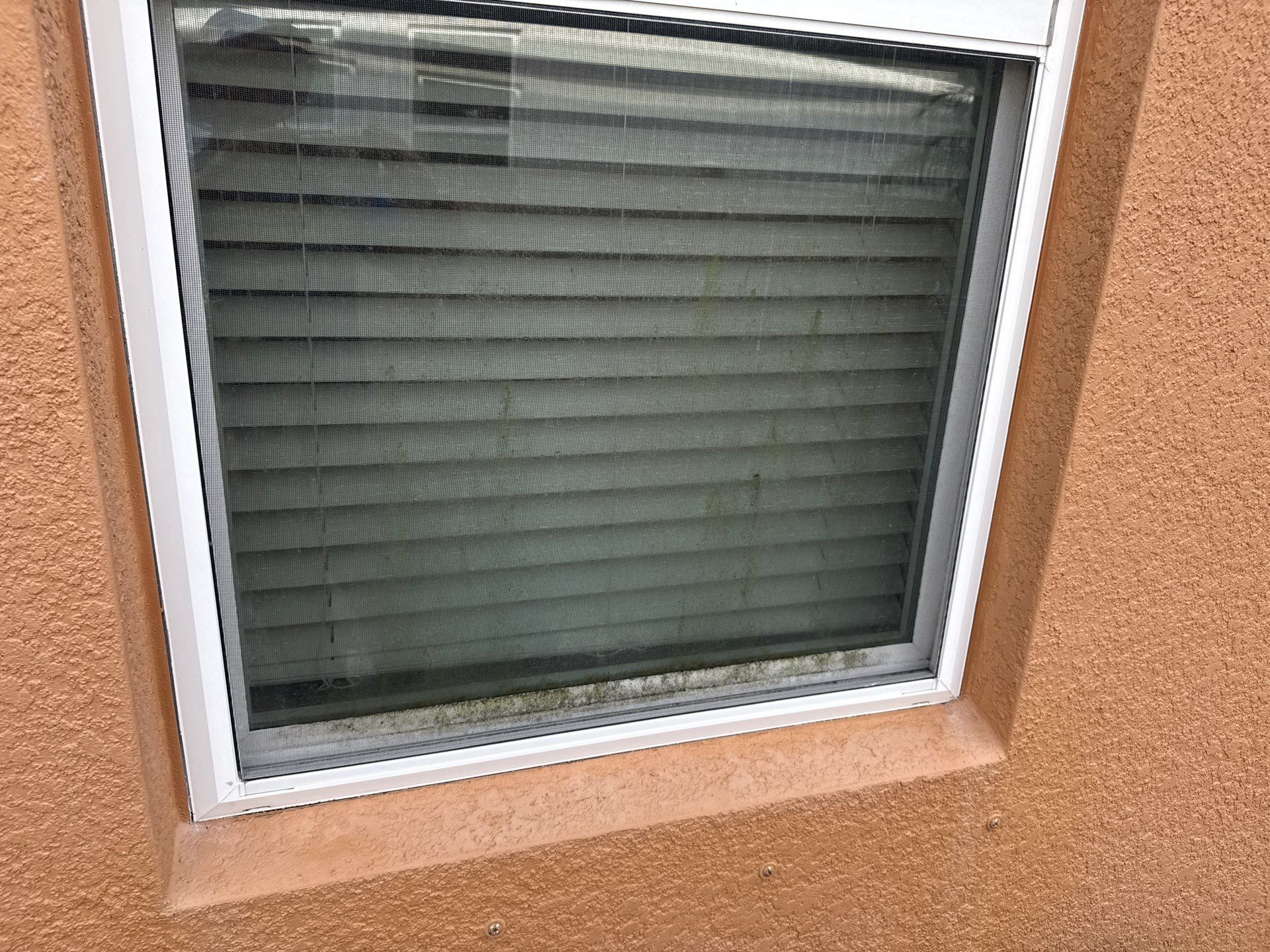 Full Exterior Cleaning – Two-Story House, Gutters, and Fence in Old Mill Preserve, Palmetto, FL by Sunshine AquaWash