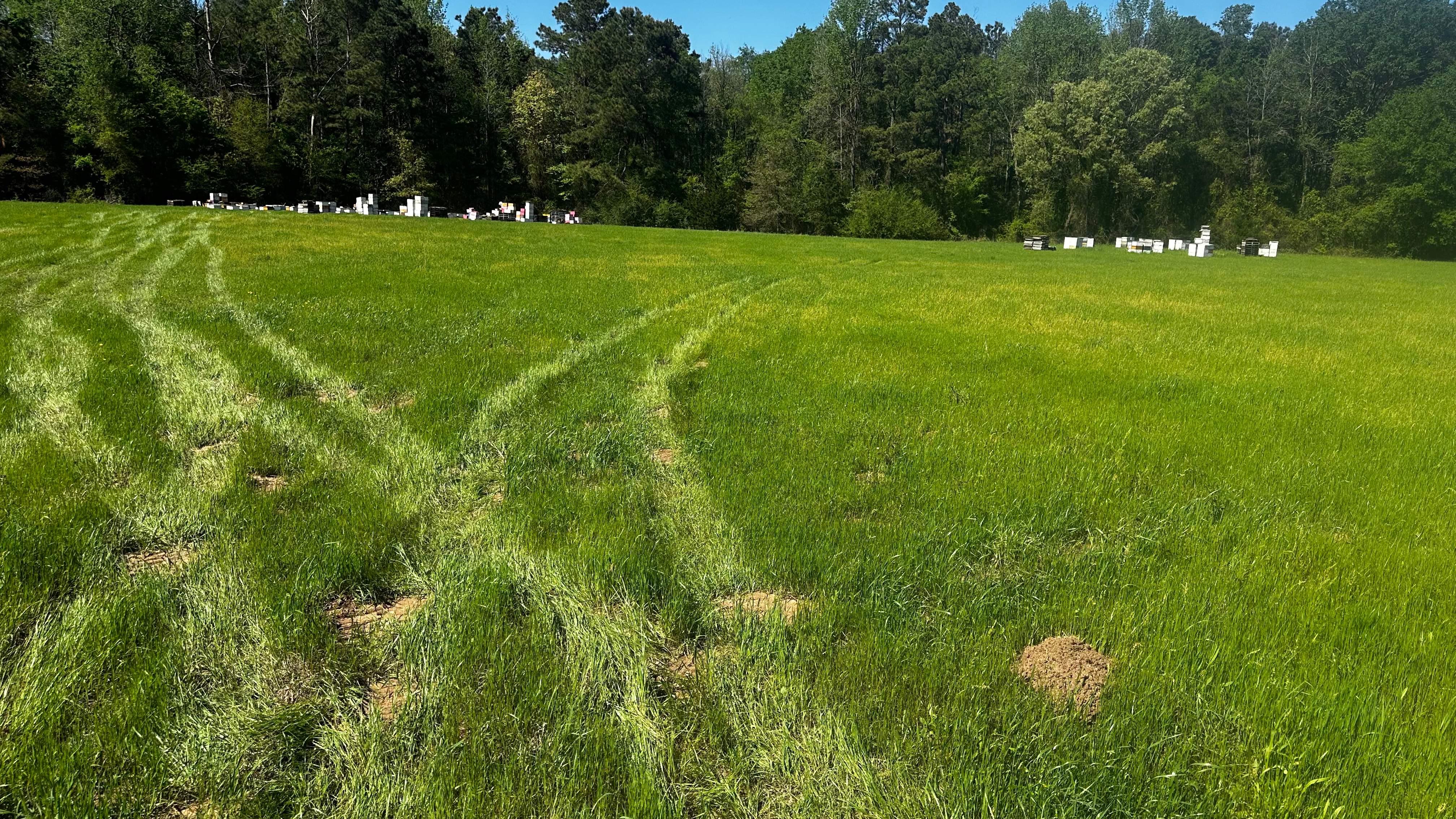 Traylor's Hay Meadow Apiary by Rockwall Honey Bee Company
