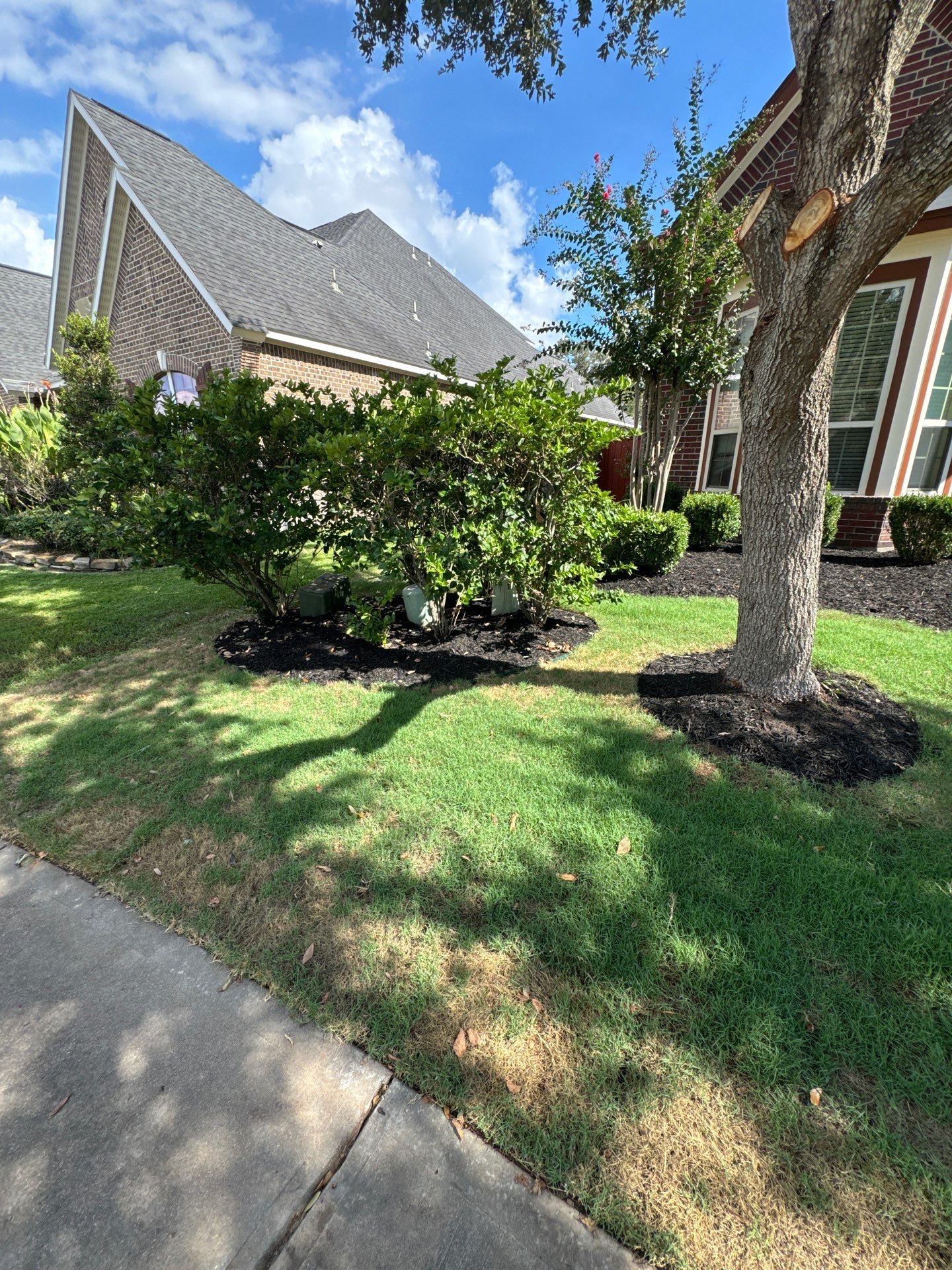 🌿🏡 Project Spotlight: Front Yard Curb Appeal Rescue for Mr. B. Khara by Texas Urban Elements