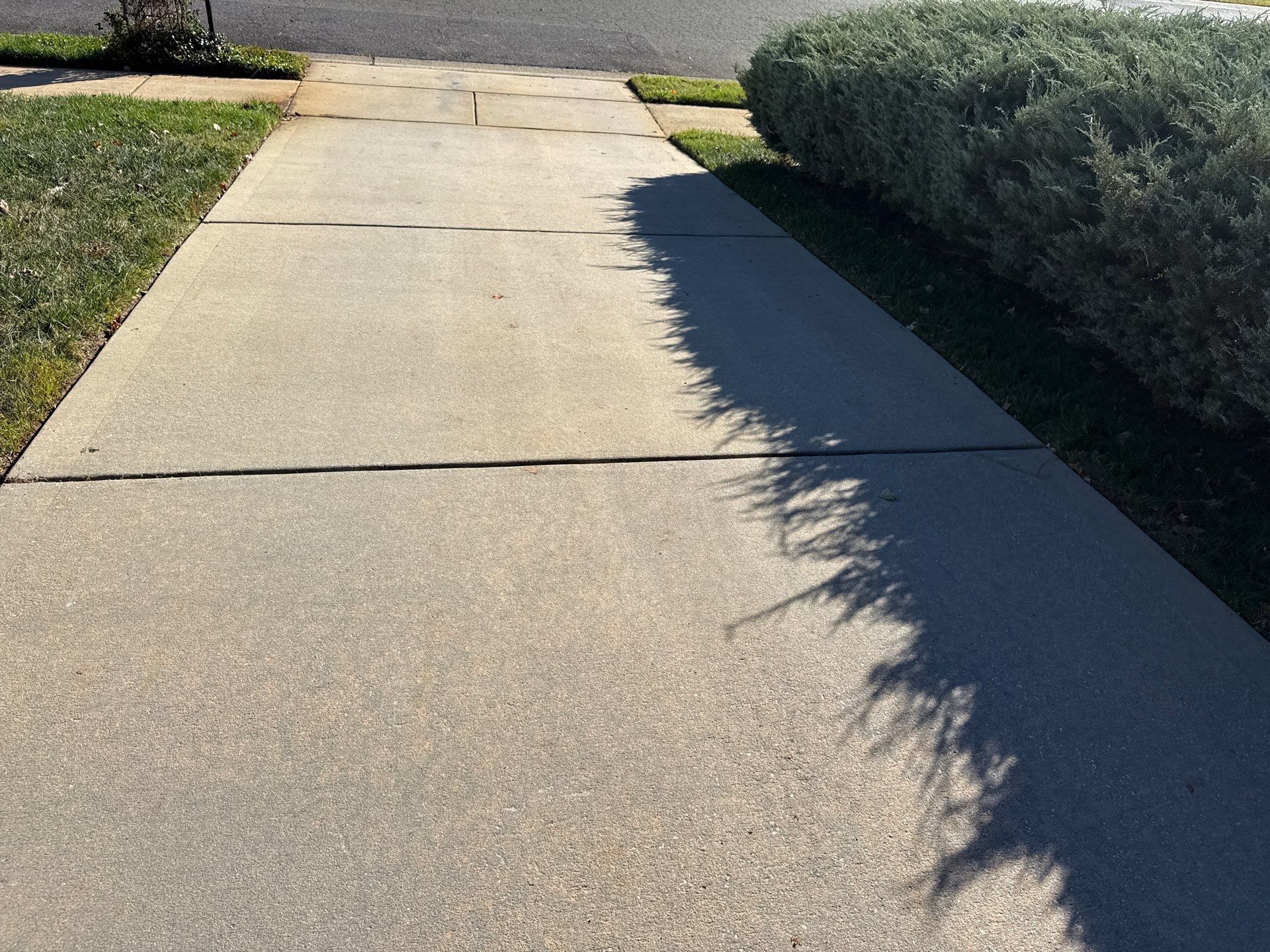 Project in Waxhaw by Badger Hauling