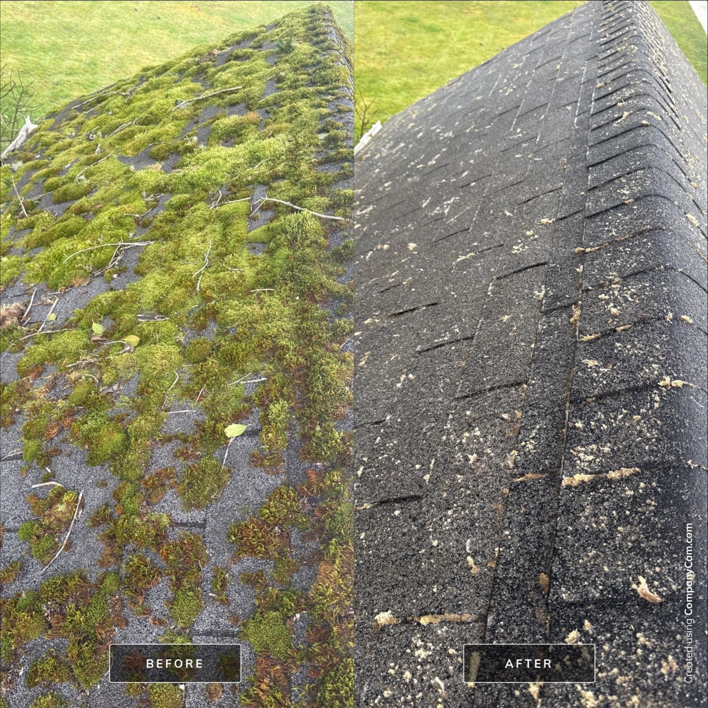 Roof Moss Eliminated - Hammond by Rolling Suds of Oregon Coast – Salem