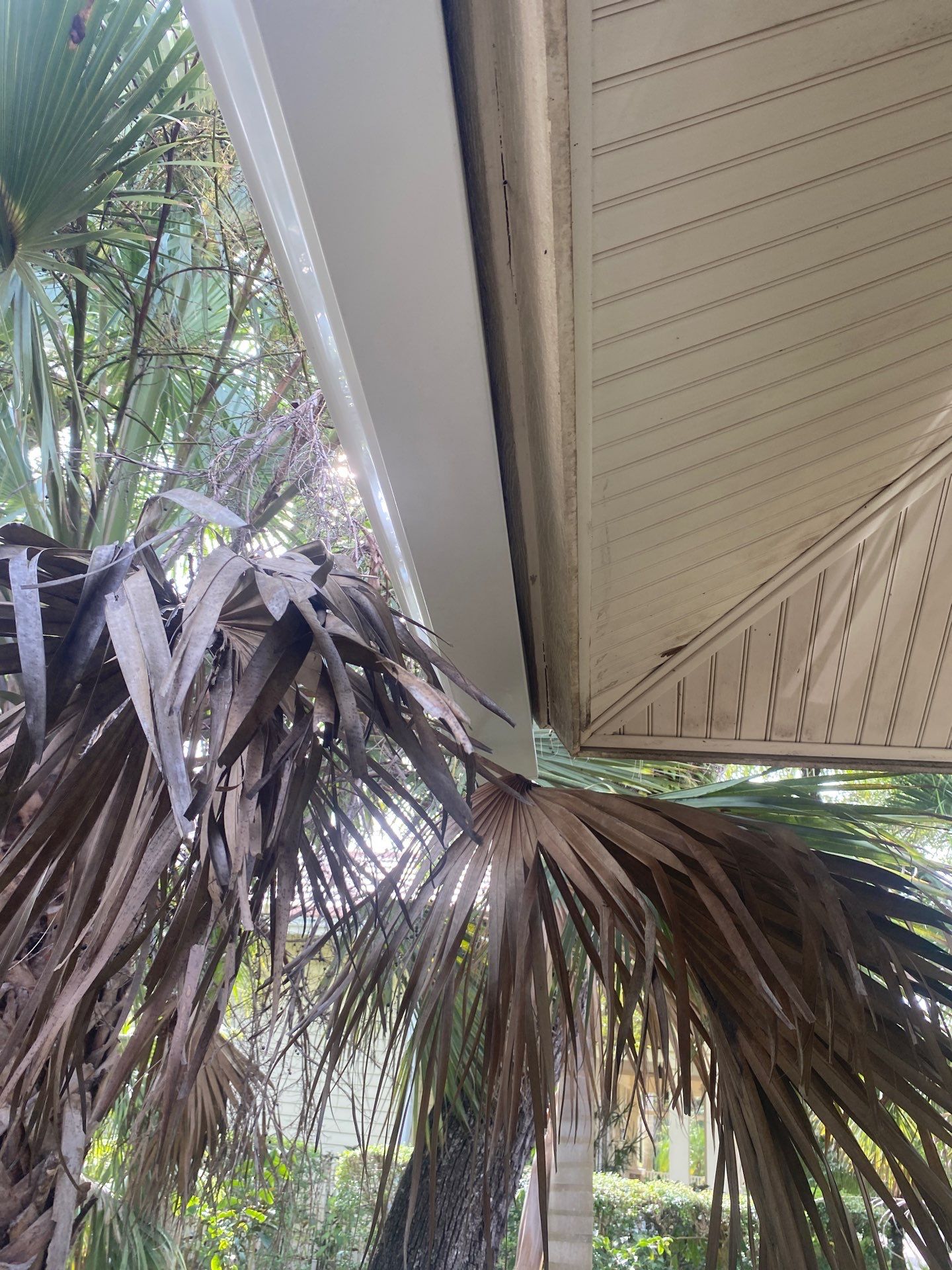 7-Inch Smooth Box Seamless Gutters using smooth box gutters in Fort Myers FL by Gutter Professors