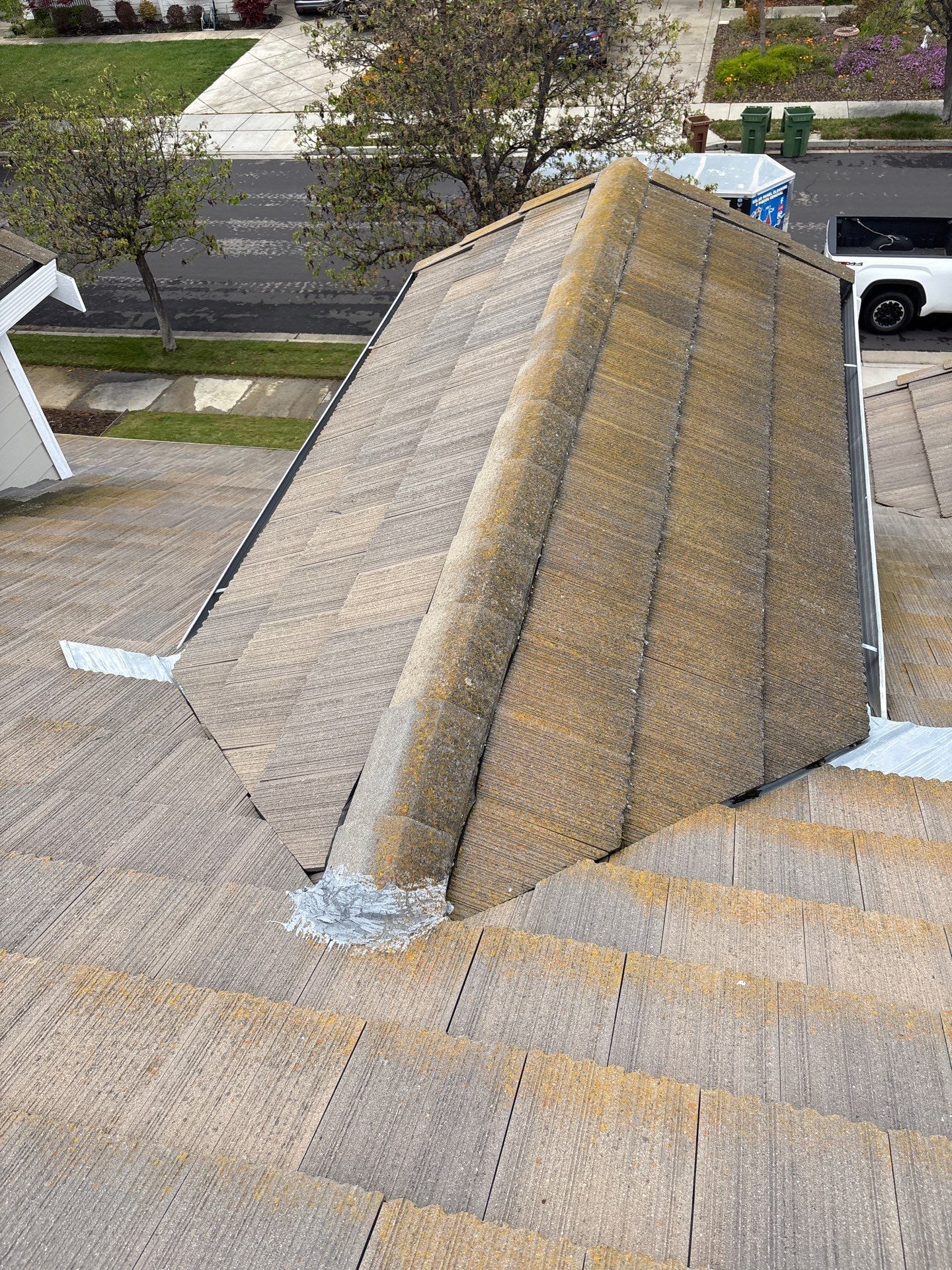 Moss Removal by Top Elevation