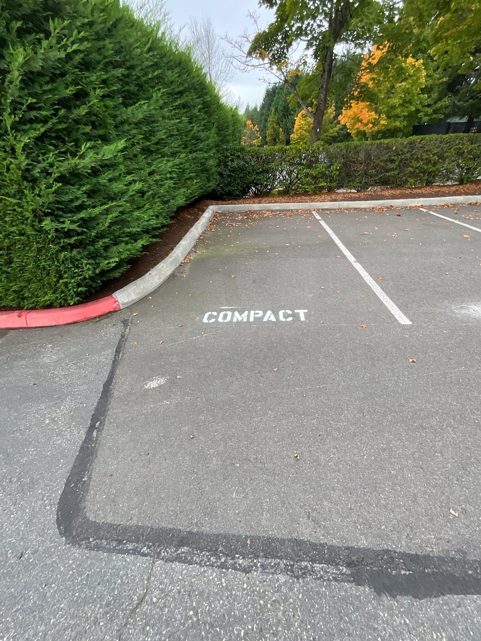 BN Builders | Asphalt Parking Lot by Jireh Asphalt & Concrete Inc 