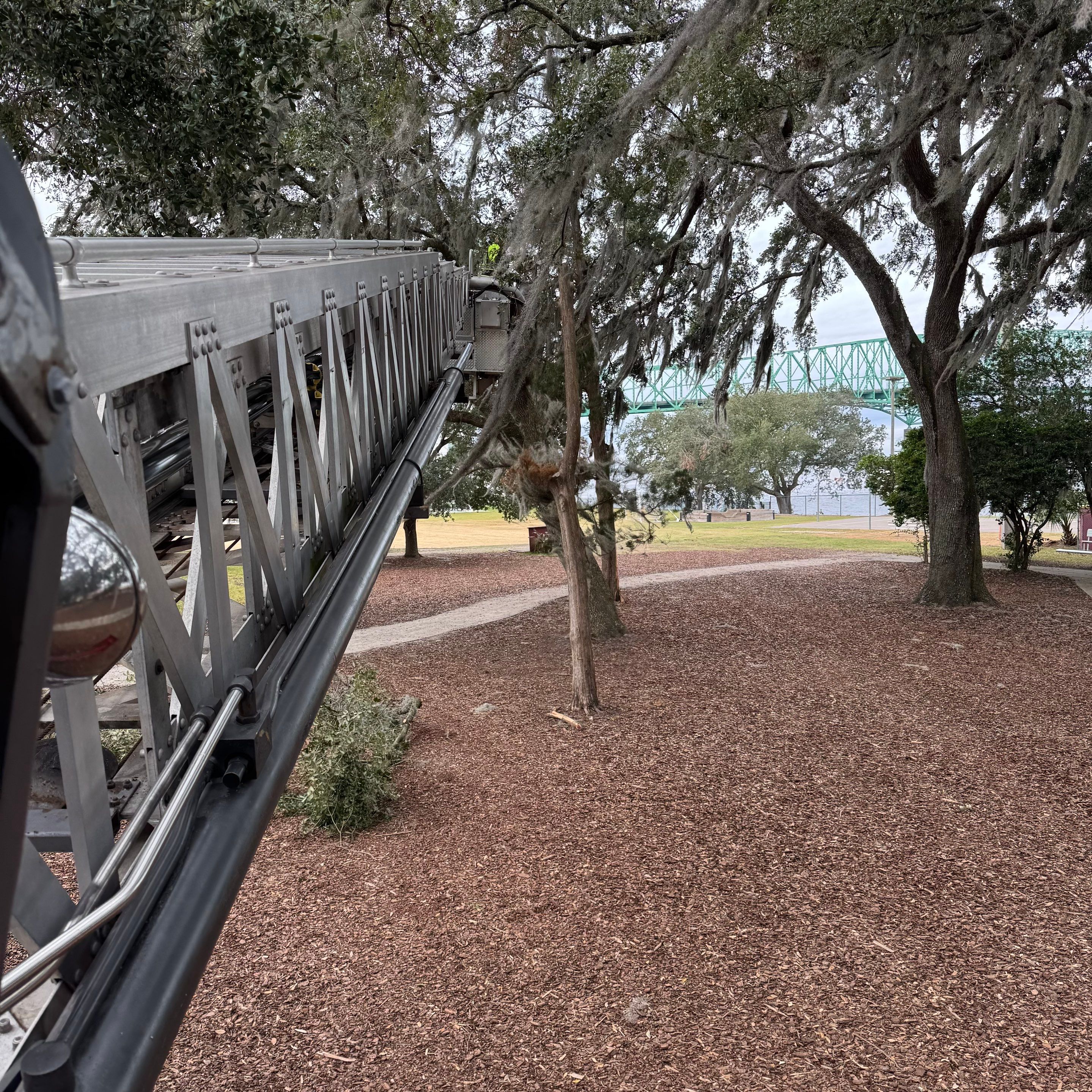 Volunteer Work | Episcopal High School of Jacksonville by ProGreen Services