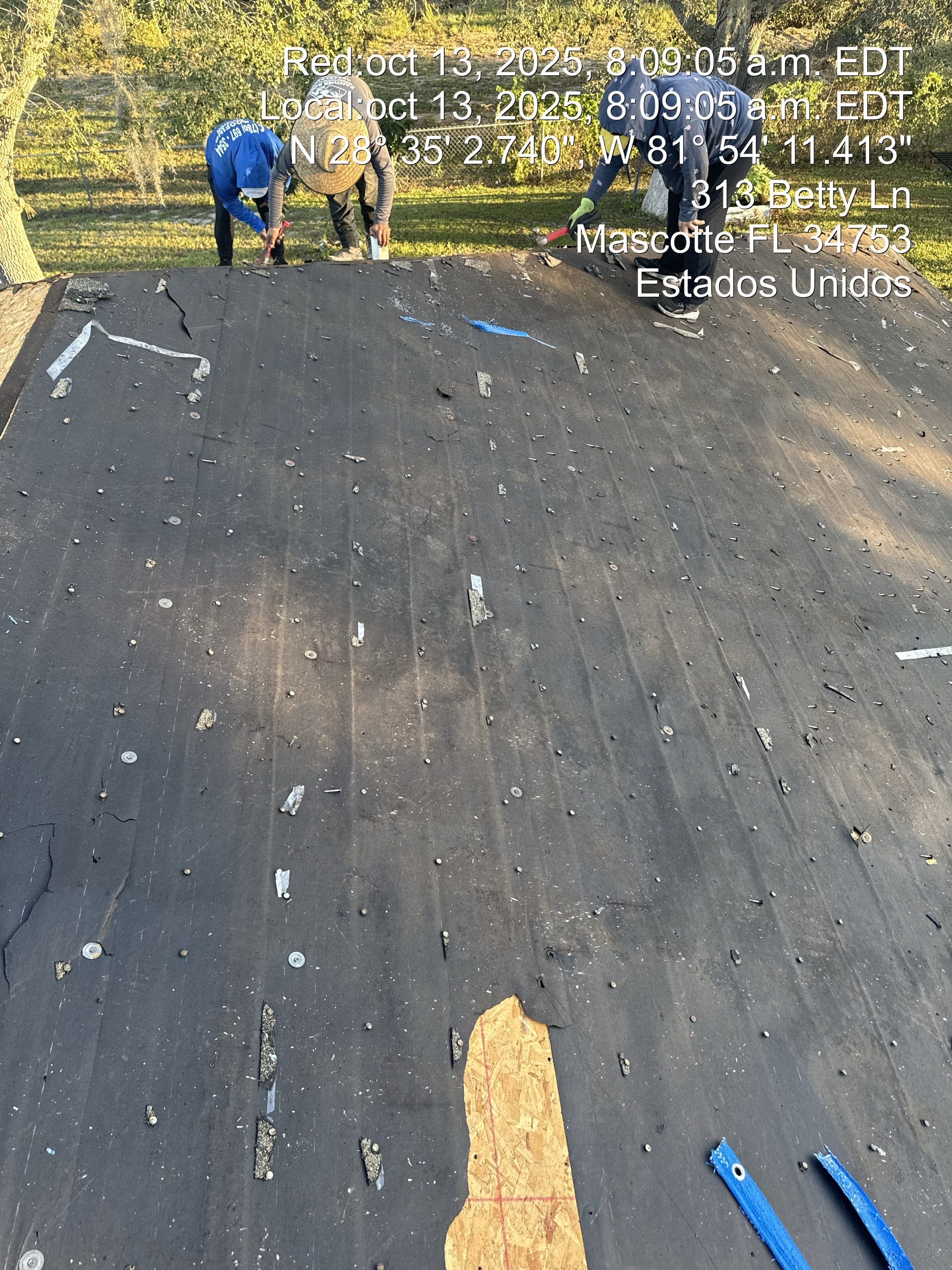 Project in Mascote by You Restorations LLC DBA YOU-Home