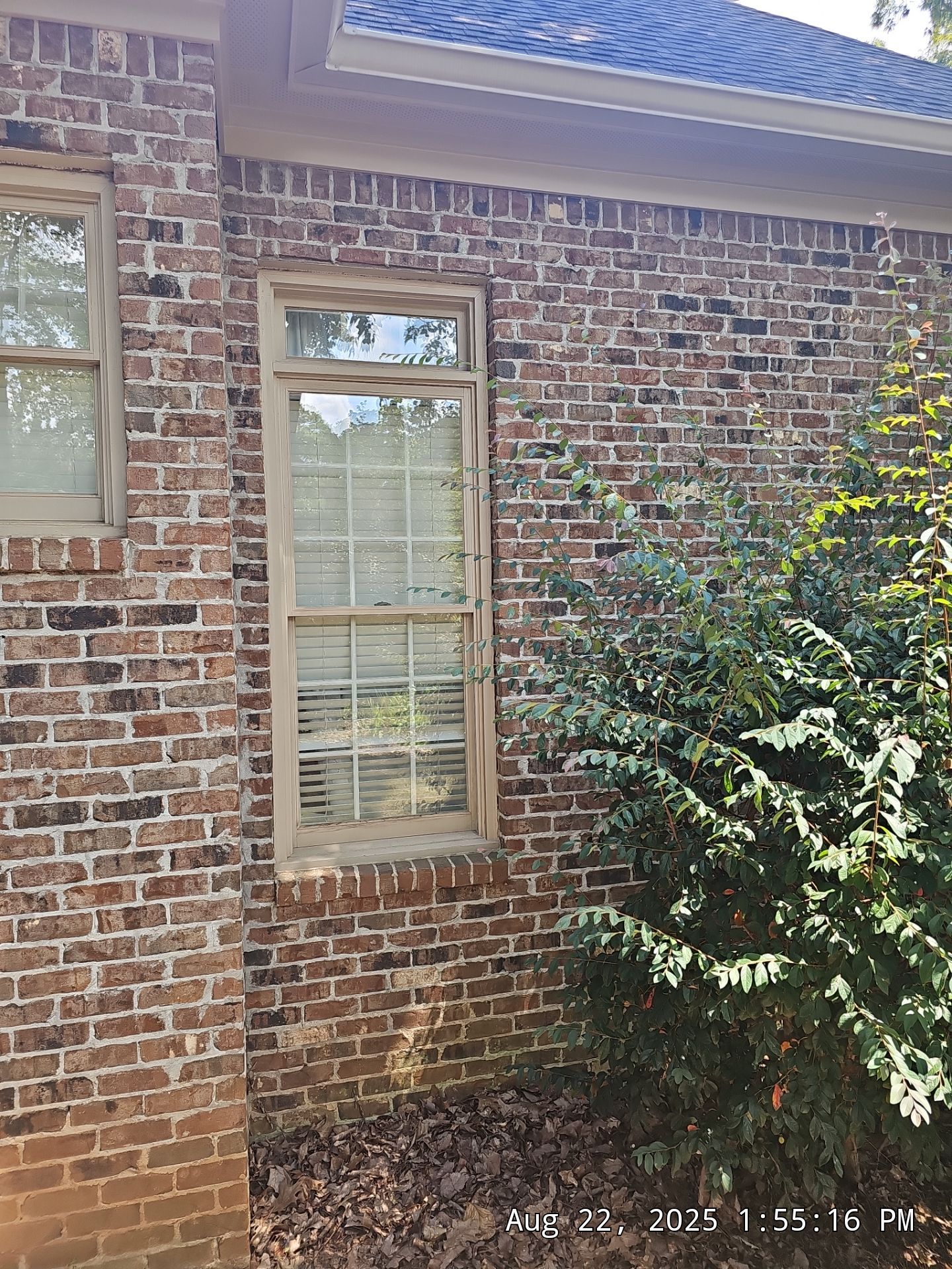 Dew Project in Hoover by The Window Source