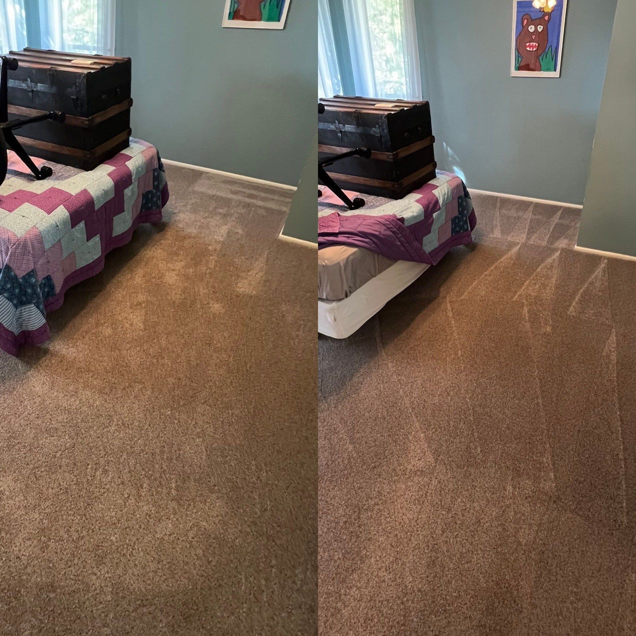 the service being done is carpet cleaning showing a before and after effect on the carpeted surface