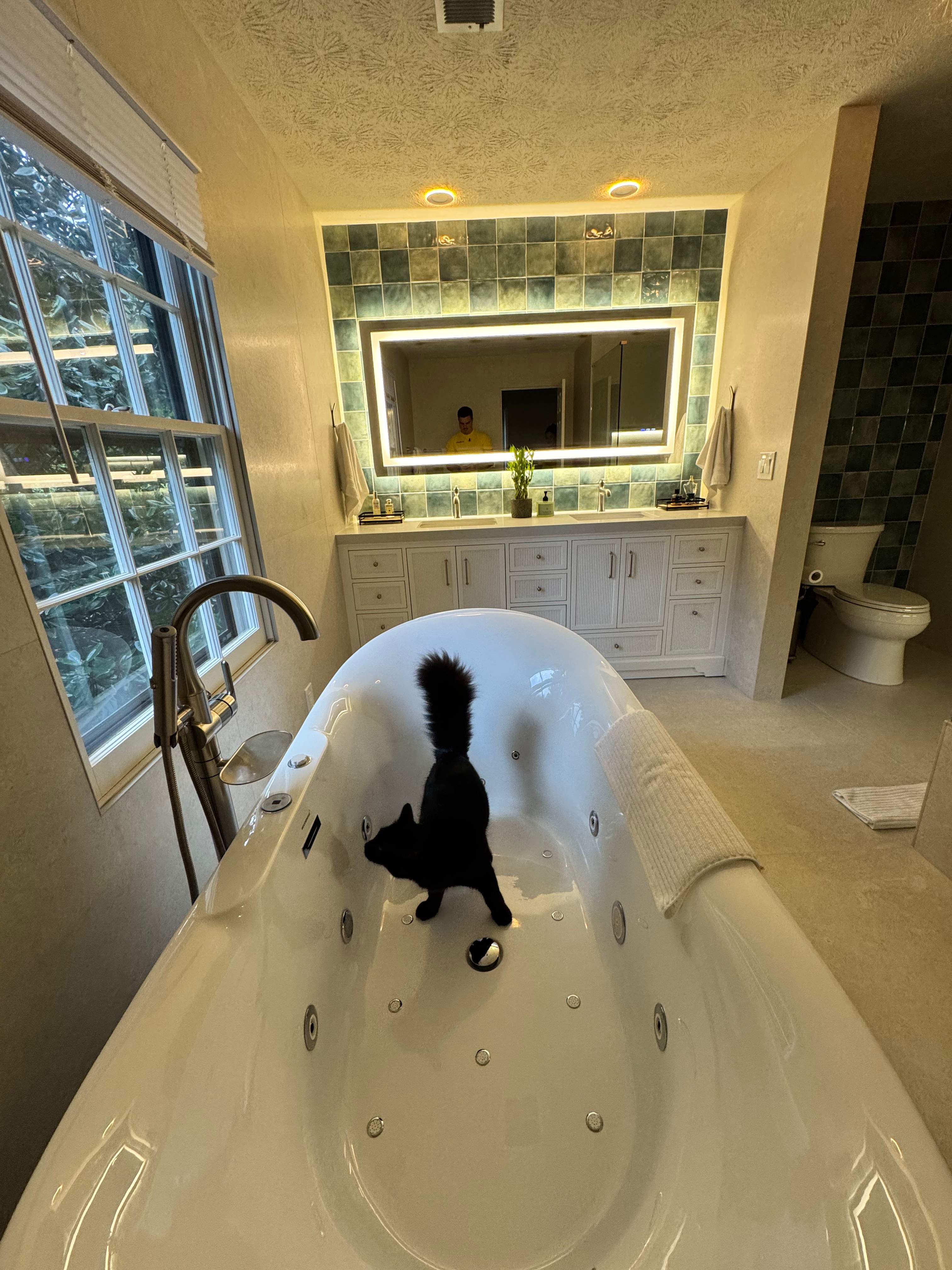 Master bathroom remodel by Prudencio