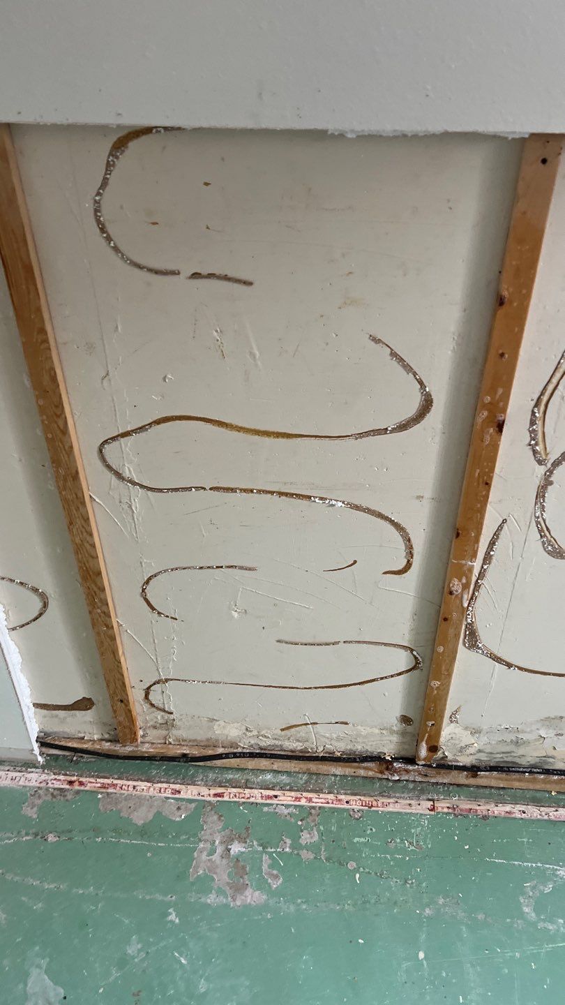 Mold Remediation by Accountable Home Services