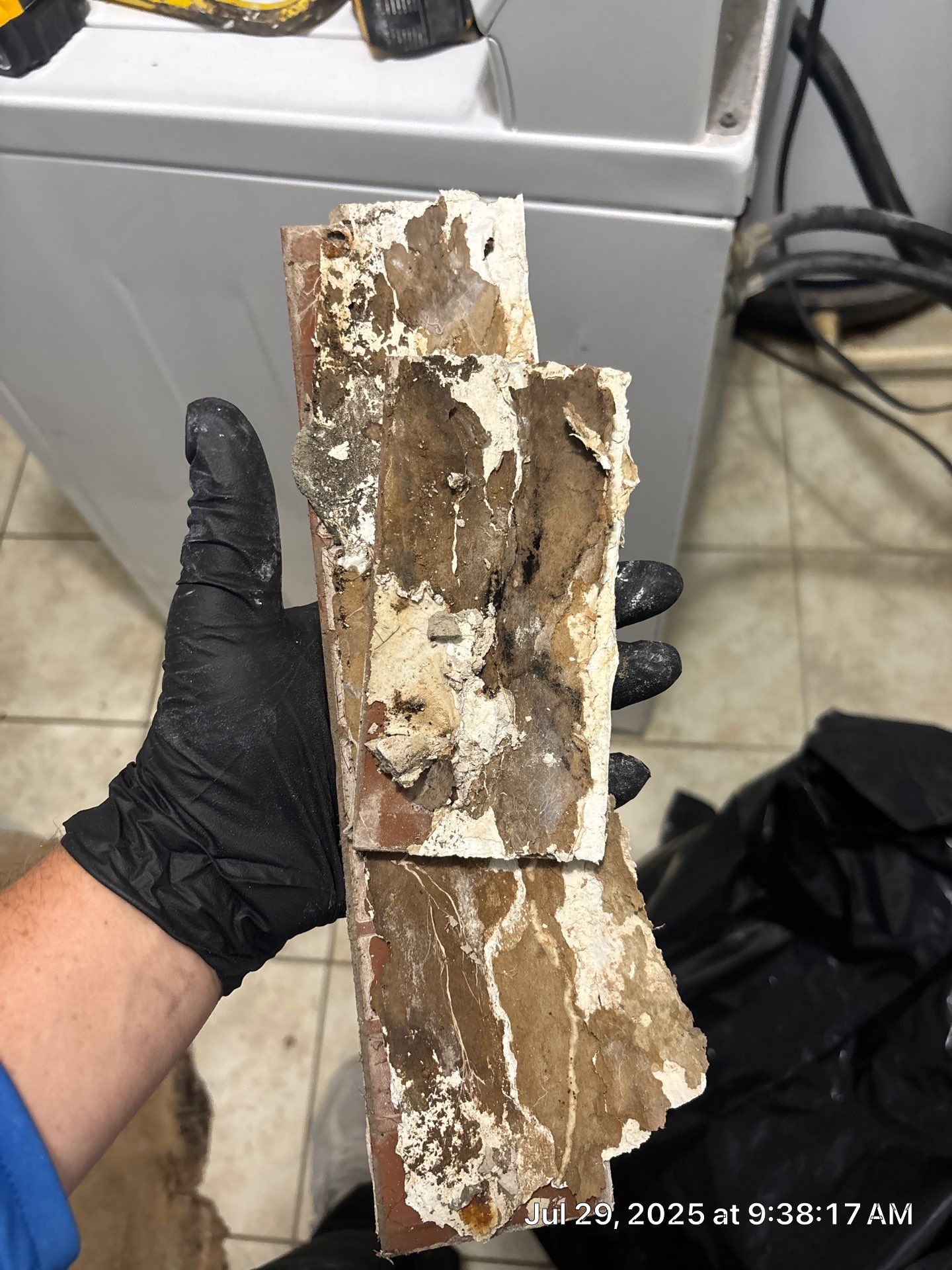 Mold Removal In Sarasota Florida by Ampm Restoration Services