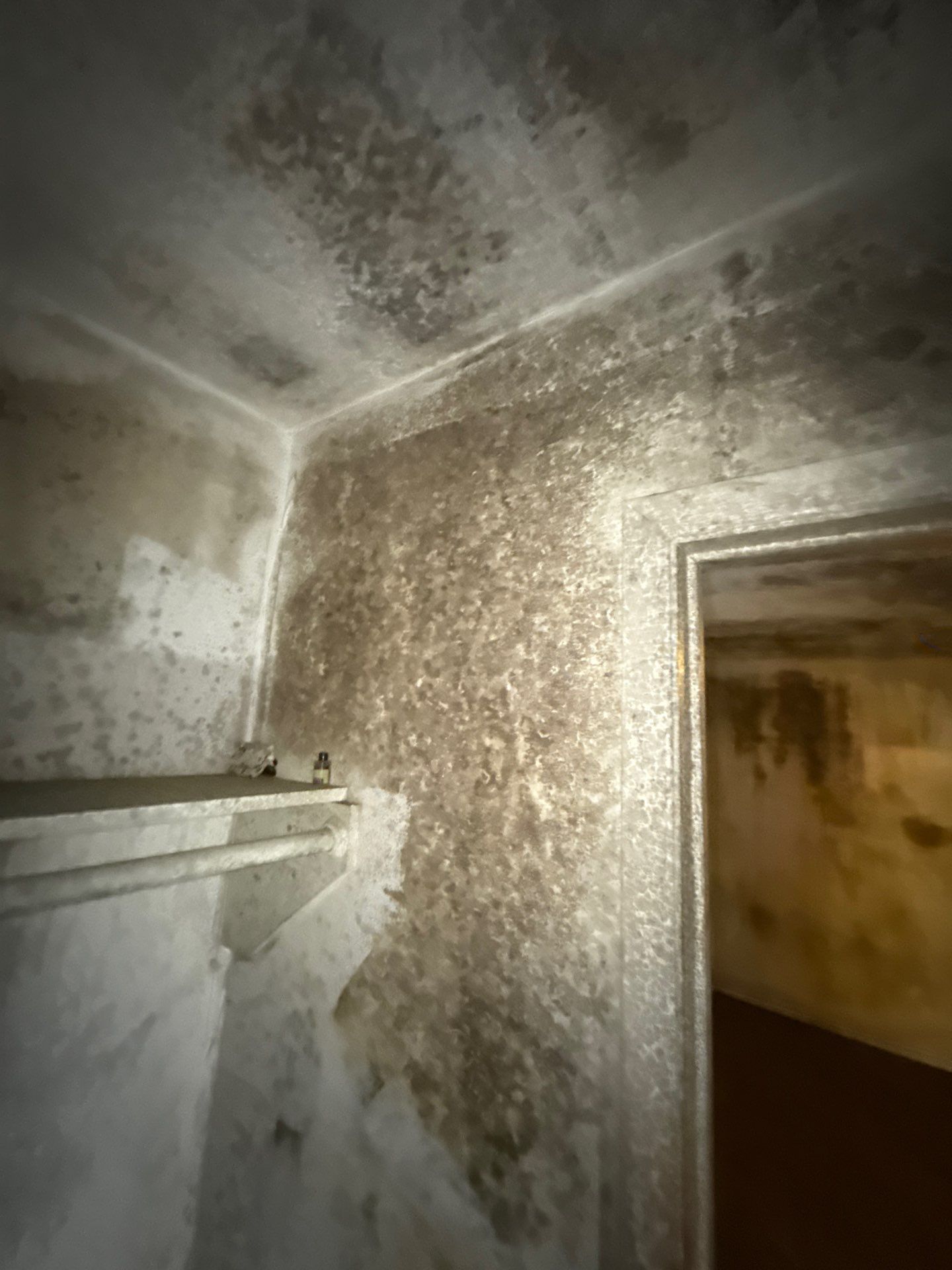 The Slate by Disaster Recovery Consultants