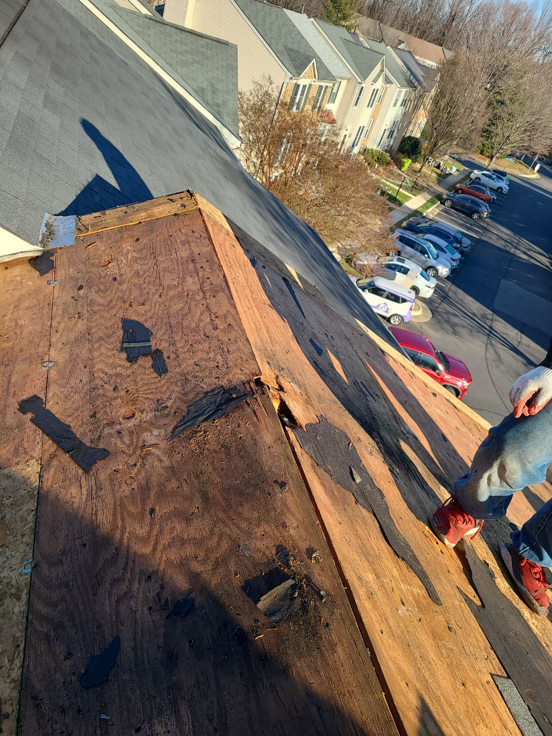 Alexandria CertainTeed Landmark Pro Roof in Max Def Pewterwood  by RM Banning, Inc.