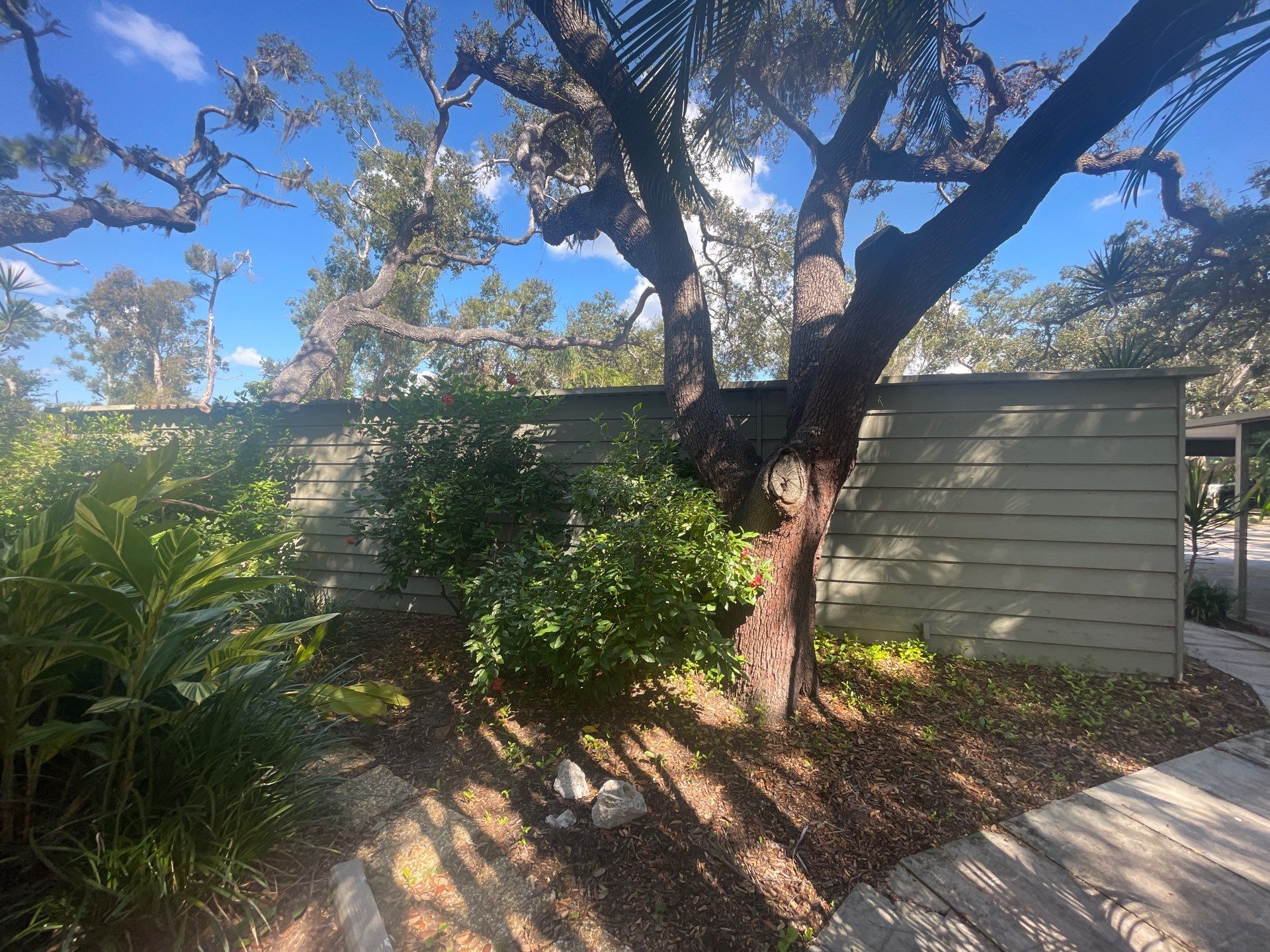 Clean Gutters and Roof in Sarasota FL by Gutter Professors