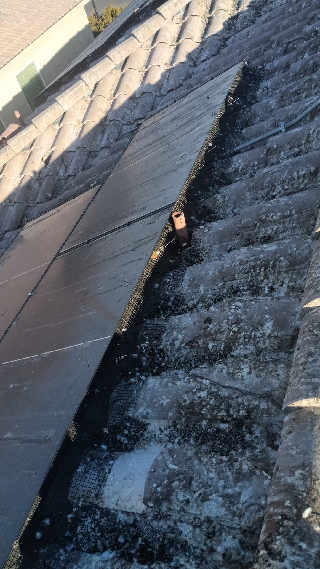 Excessive pigeon problem  by Solar Honest Cleaning 