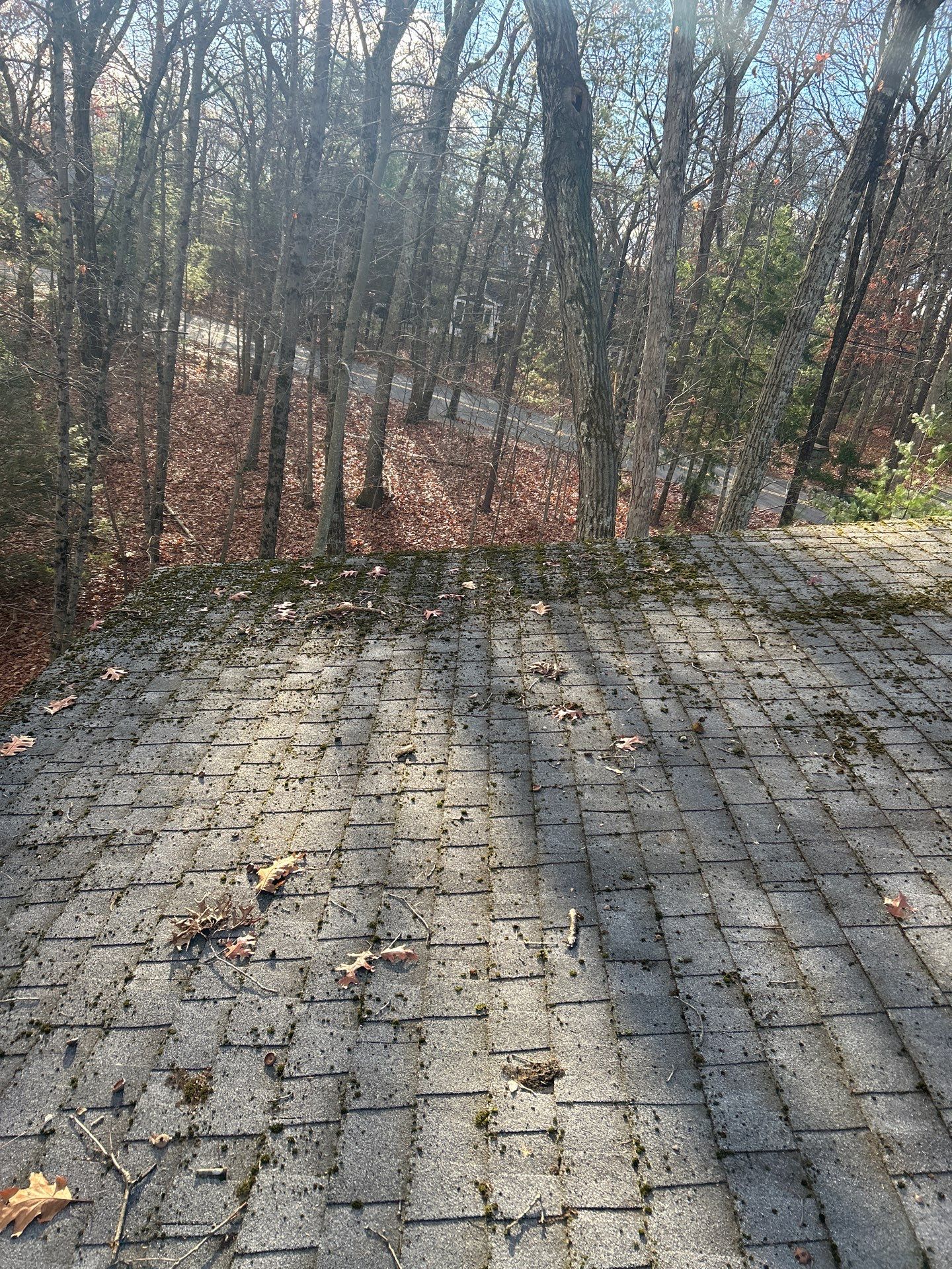 Roofing & Skylights | Concord by Mighty Dog Roofing of Greater Middlesex County