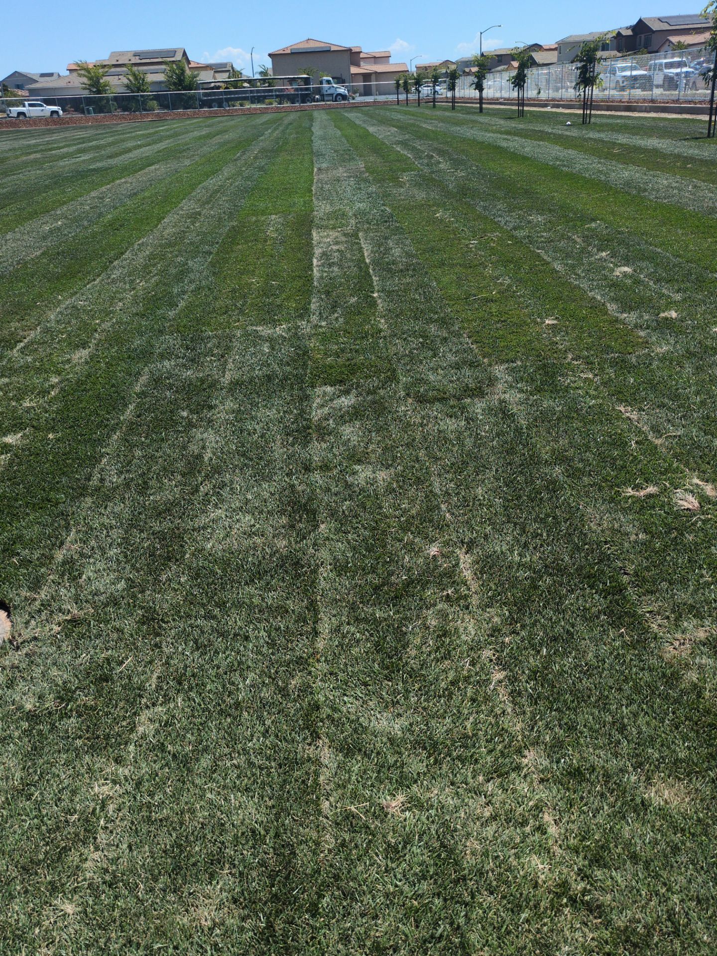 Project in Rancho Cordova by A - G Sod Farms