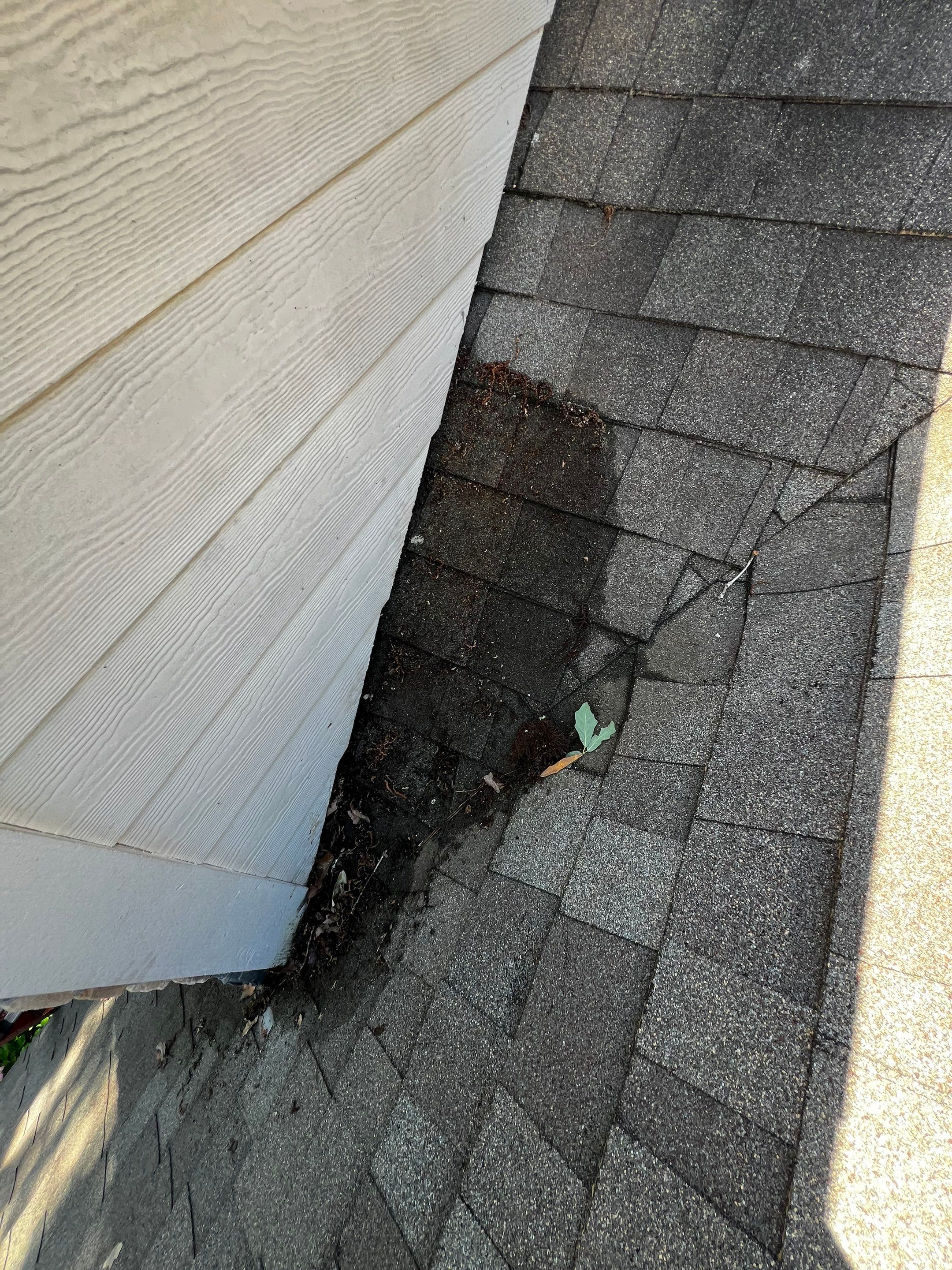 Roof Repair Houston by Roof Repair Services LLC