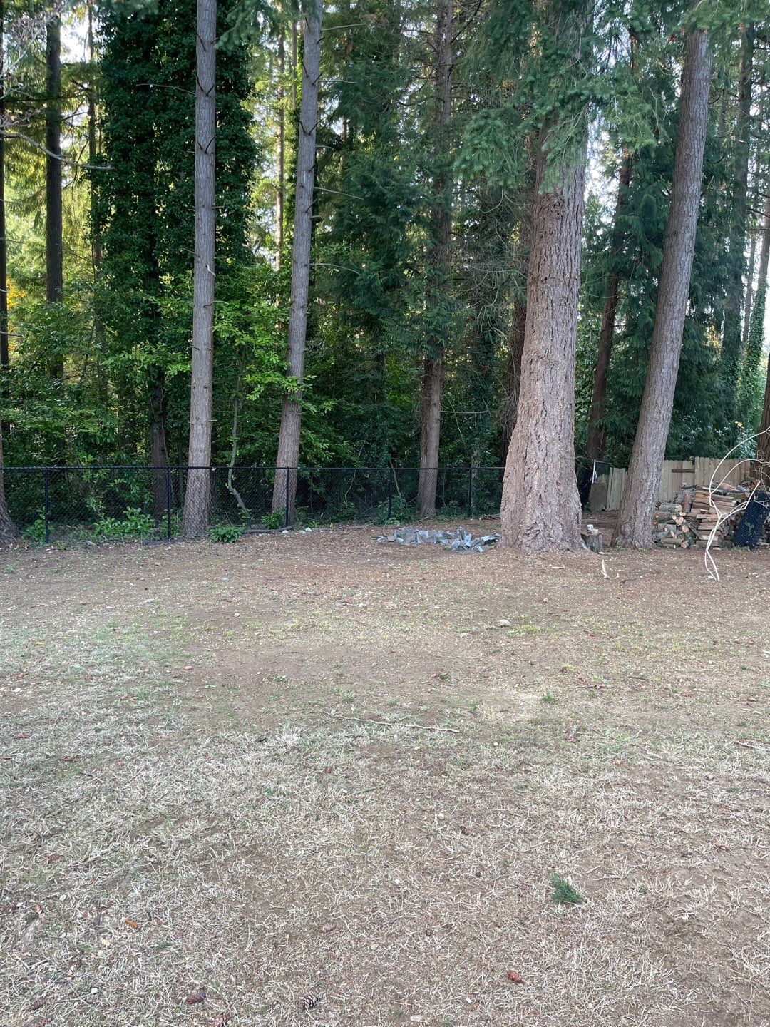 Tree Removal using Tree Removal by Mike Jones & Sons Tree Service LLC 