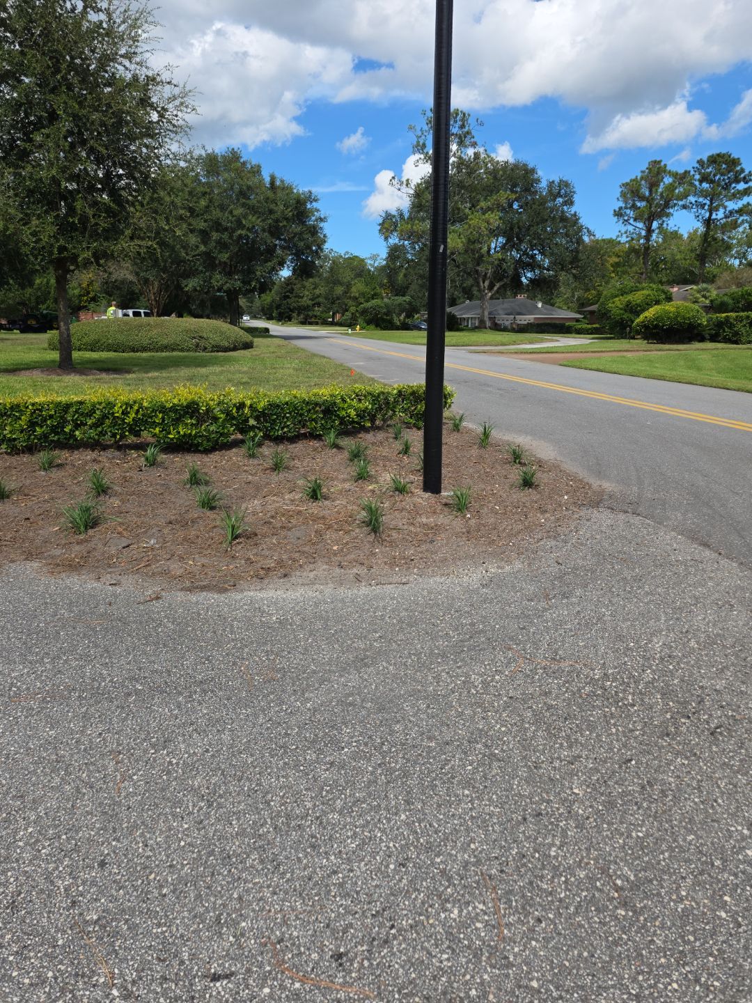 Deerwood Community | Island Landscape Replacement by ProGreen Services