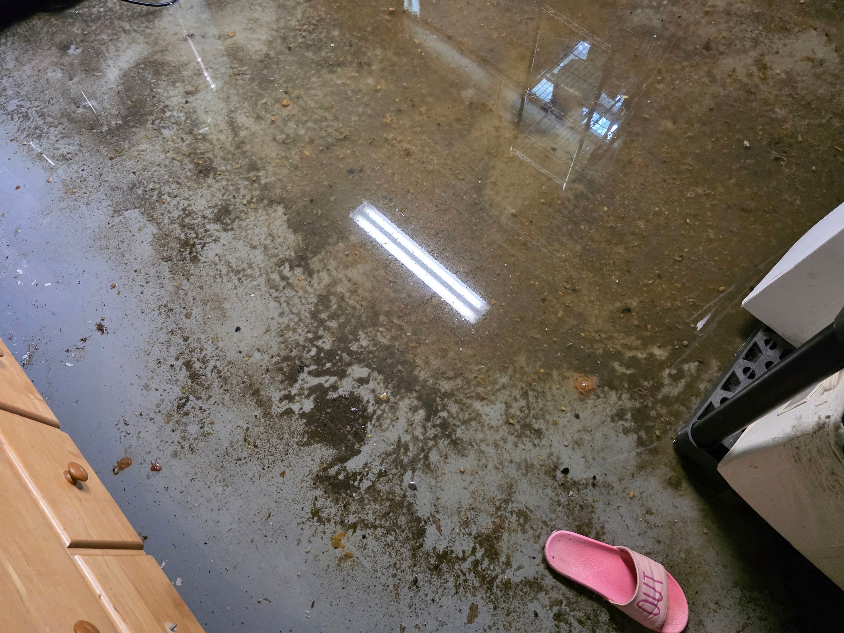 Wilmette Basement Sewage Extraction and Structural Drying Mitigation by Chicagoland Water Medics