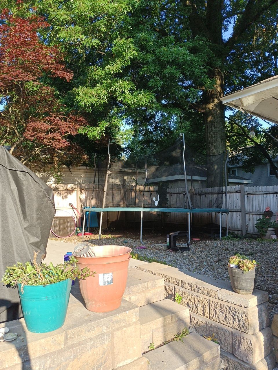 Tree Trimming using Tree Pruing by Mike Jones & Sons Tree Service LLC 