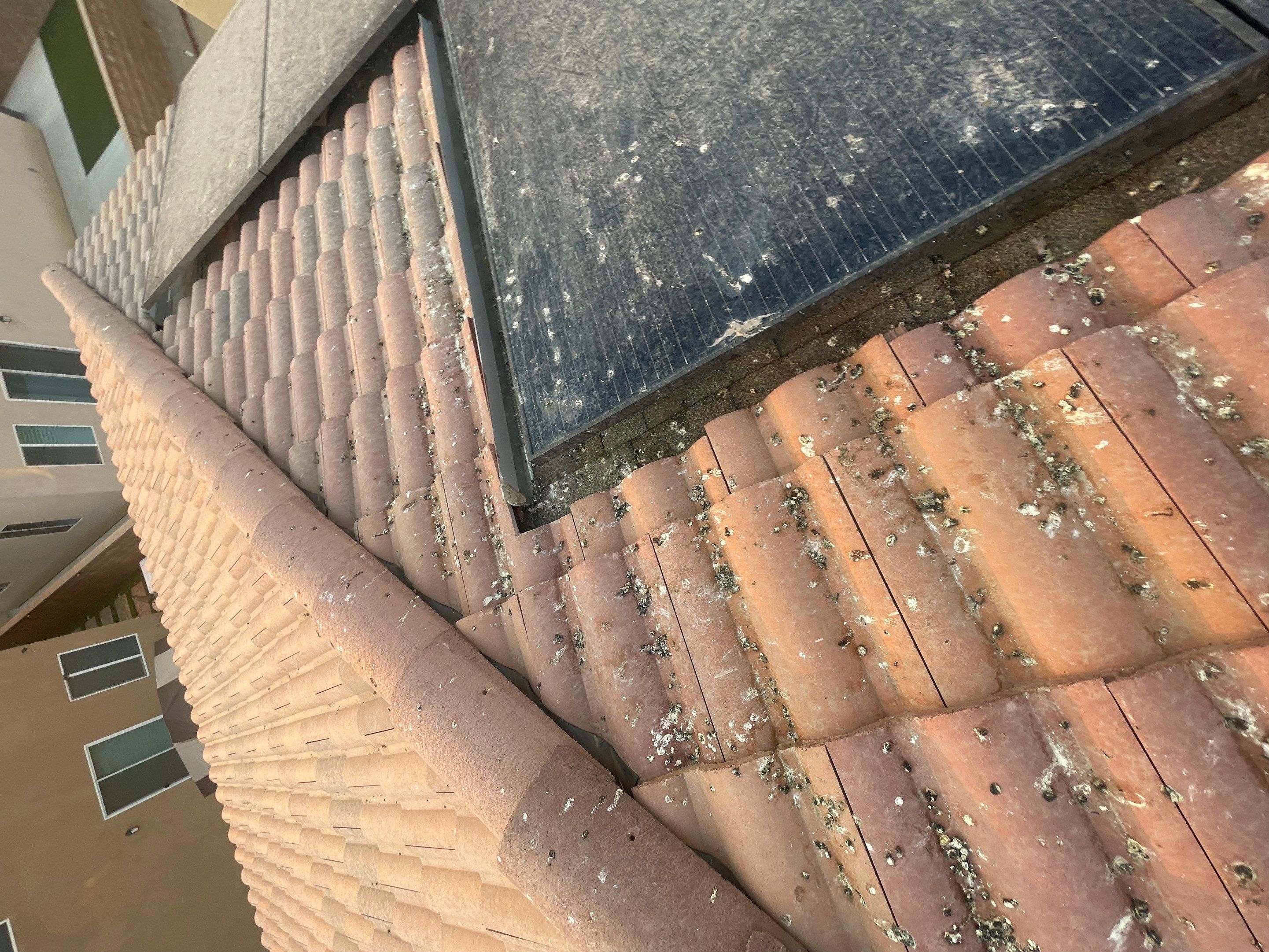 Solar Panel Bird Proofing in Ontario Ca by Palm Coast Solar Cleaning