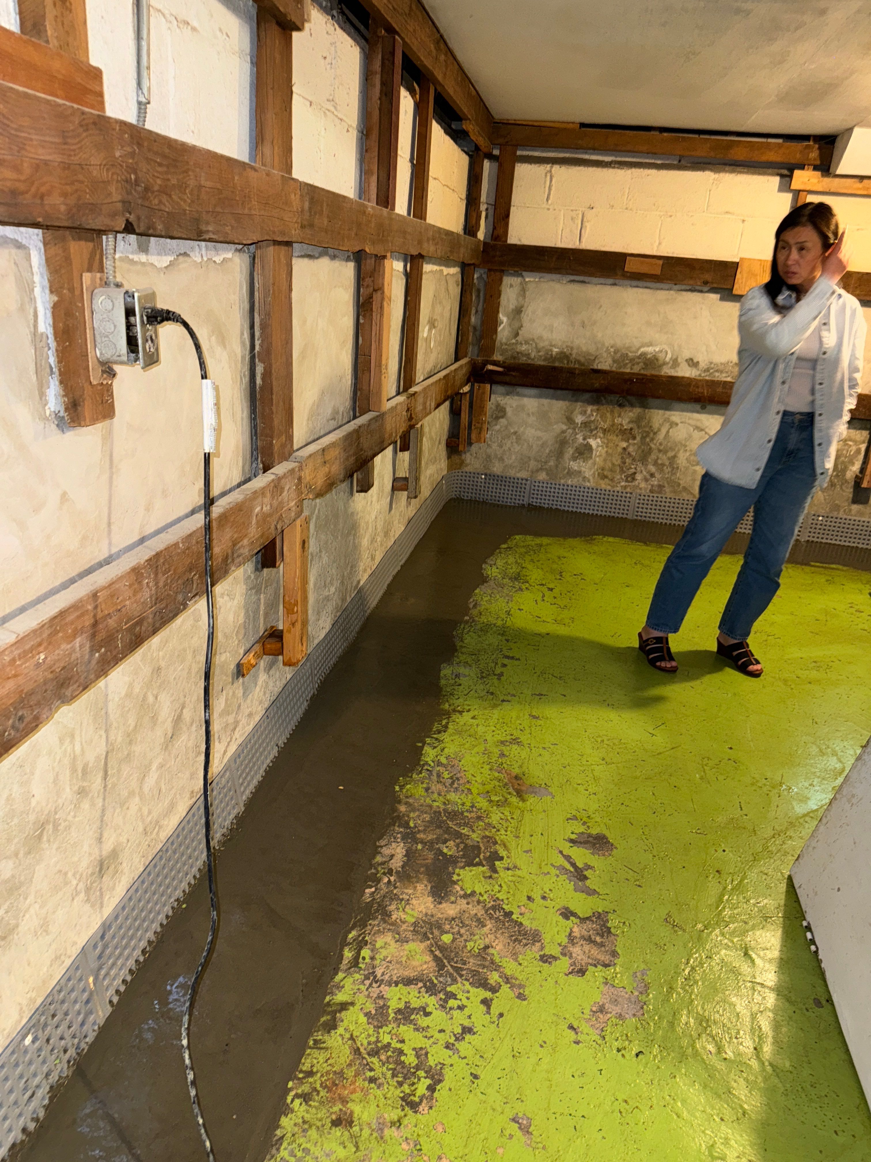 Interior French Drain & Mold Remediation Little Falls NJ by Pure Service Pro, LLC 